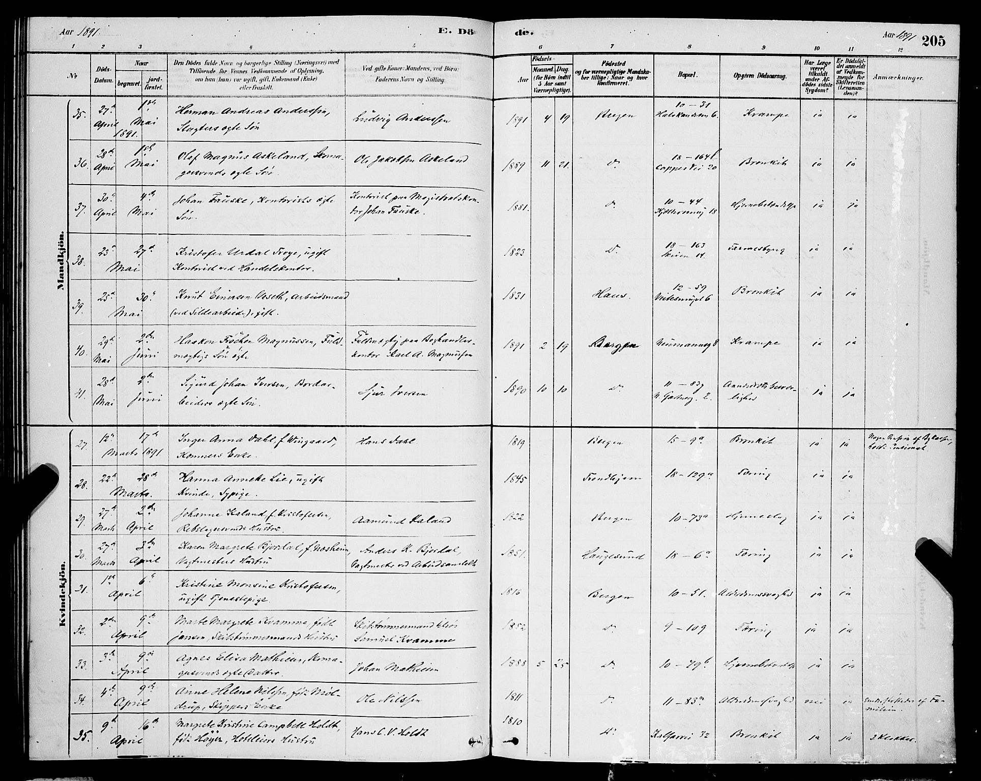 Domkirken sokneprestembete, AV/SAB-A-74801/H/Hab/L0041: Klokkerbok nr. E 5, 1878-1900, s. 205