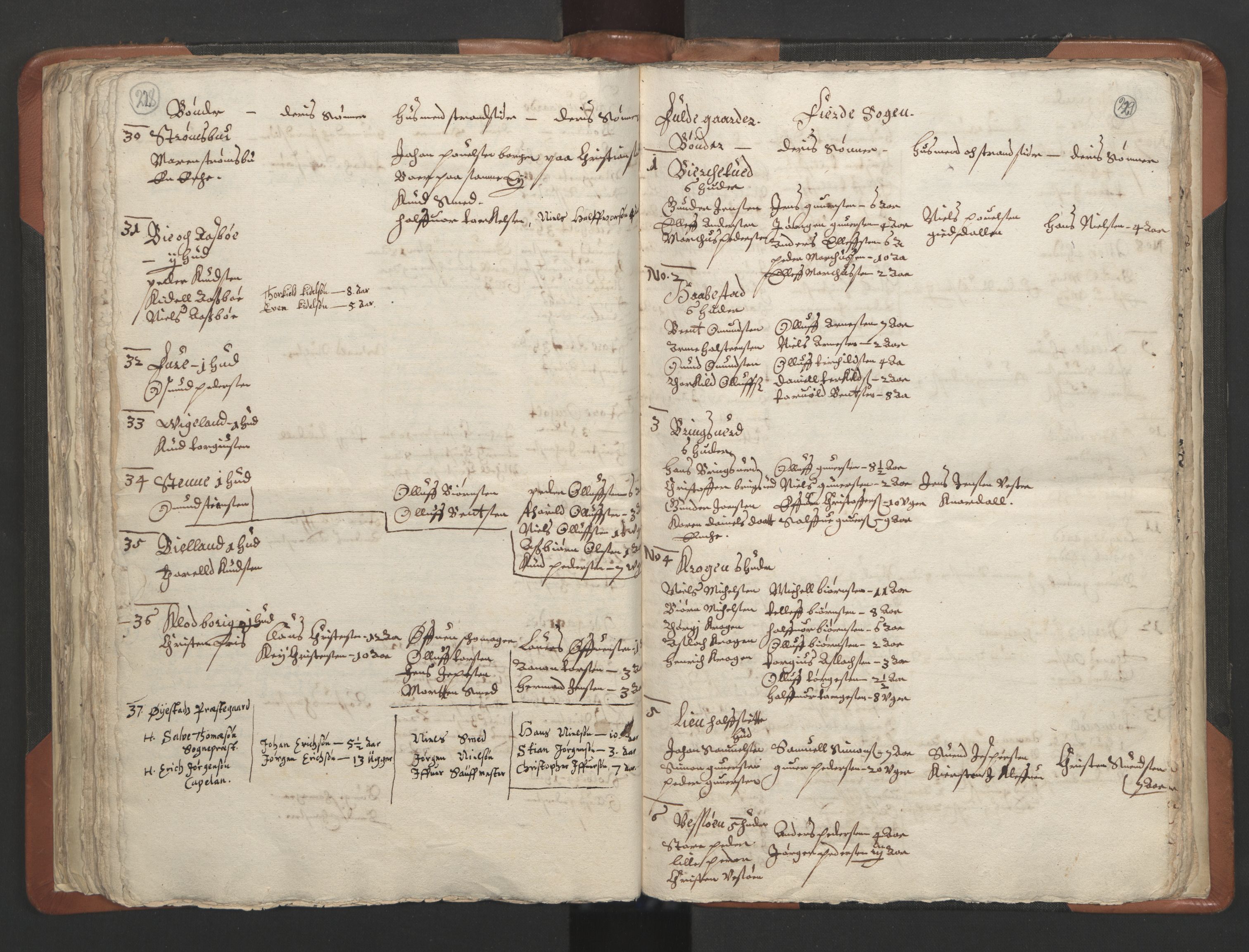 RA, Sogneprestenes manntall 1664-1666, nr. 13: Nedenes prosti, 1664-1666, s. 228-229