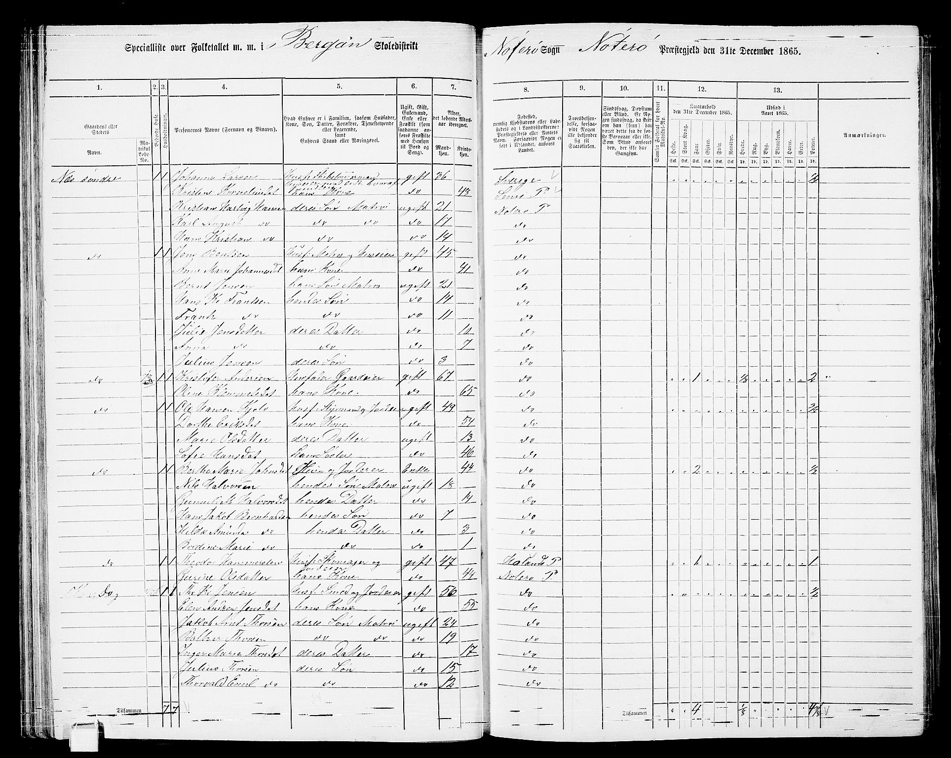 RA, Folketelling 1865 for 0722P Nøtterøy prestegjeld, 1865, s. 70