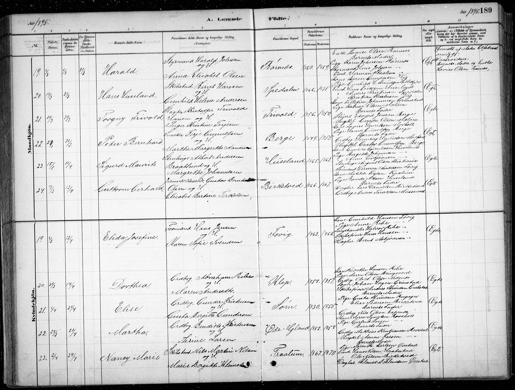 Fjære sokneprestkontor, AV/SAK-1111-0011/F/Fb/L0011: Klokkerbok nr. B 11, 1881-1905, s. 189
