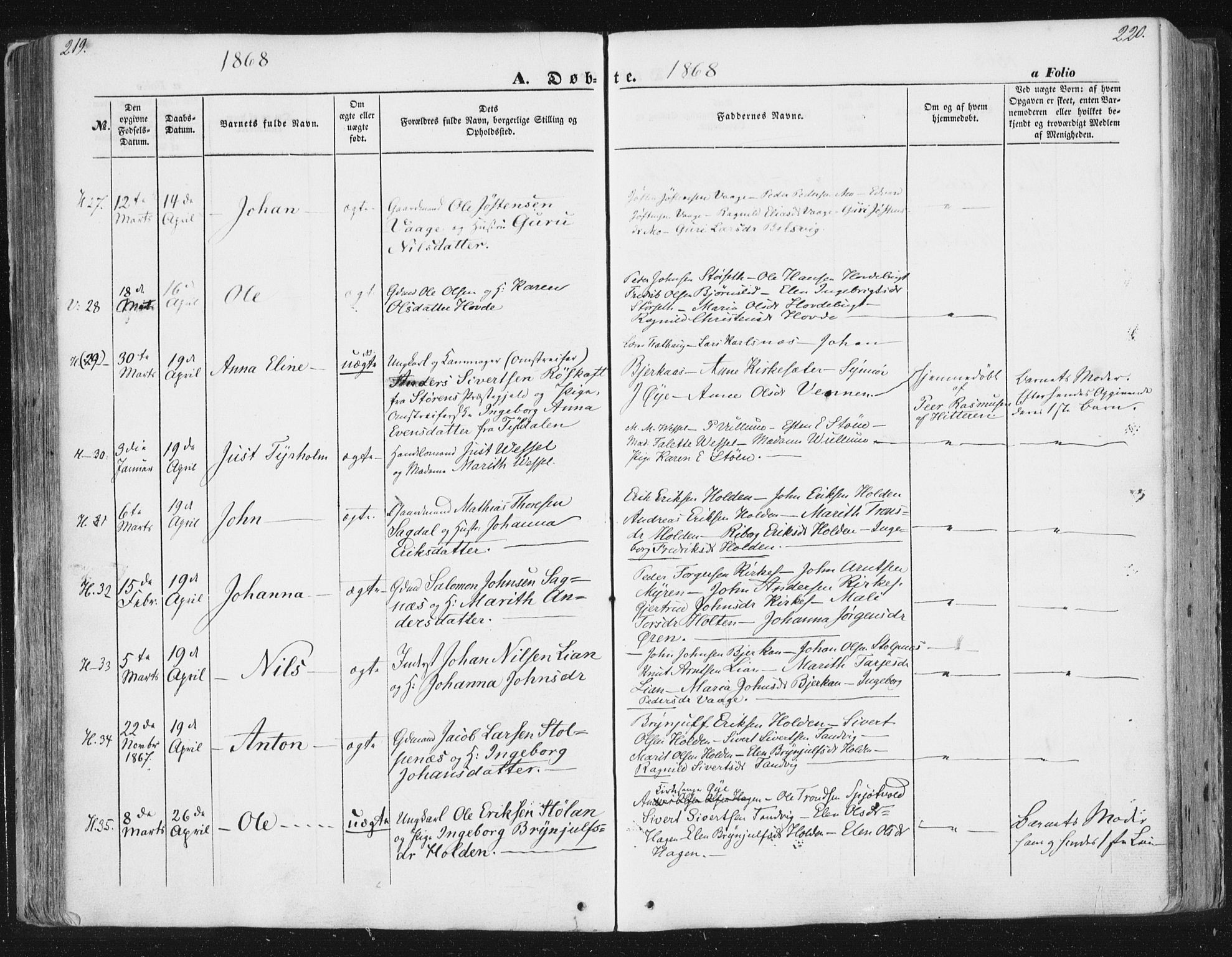 Ministerialprotokoller, klokkerbøker og fødselsregistre - Sør-Trøndelag, SAT/A-1456/630/L0494: Ministerialbok nr. 630A07, 1852-1868, s. 219-220