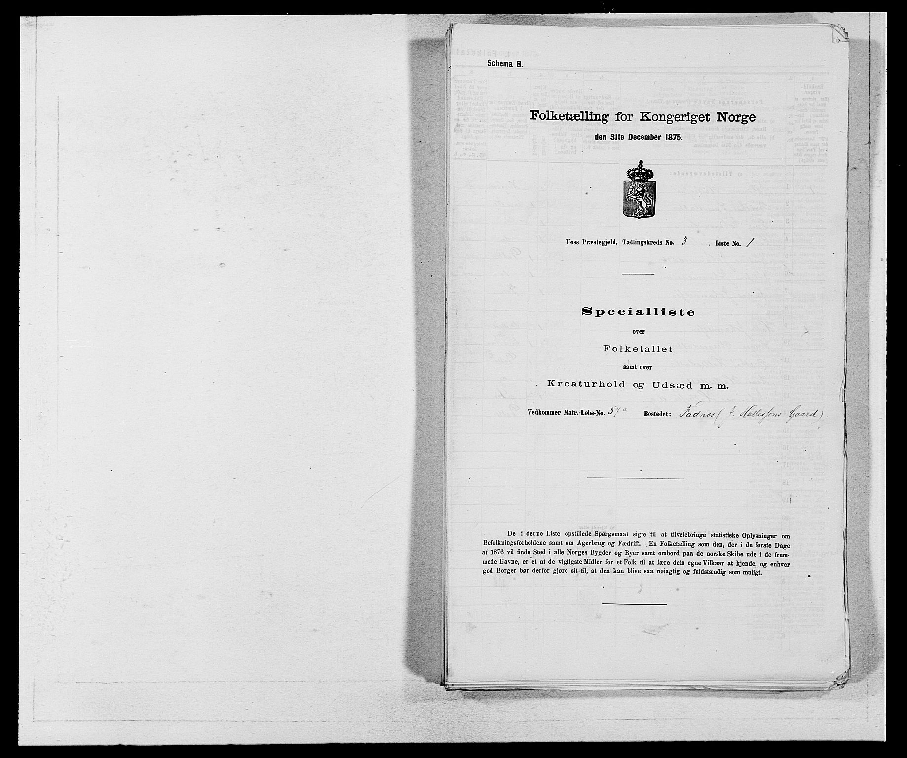 SAB, Folketelling 1875 for 1235P Voss prestegjeld, 1875, s. 1874