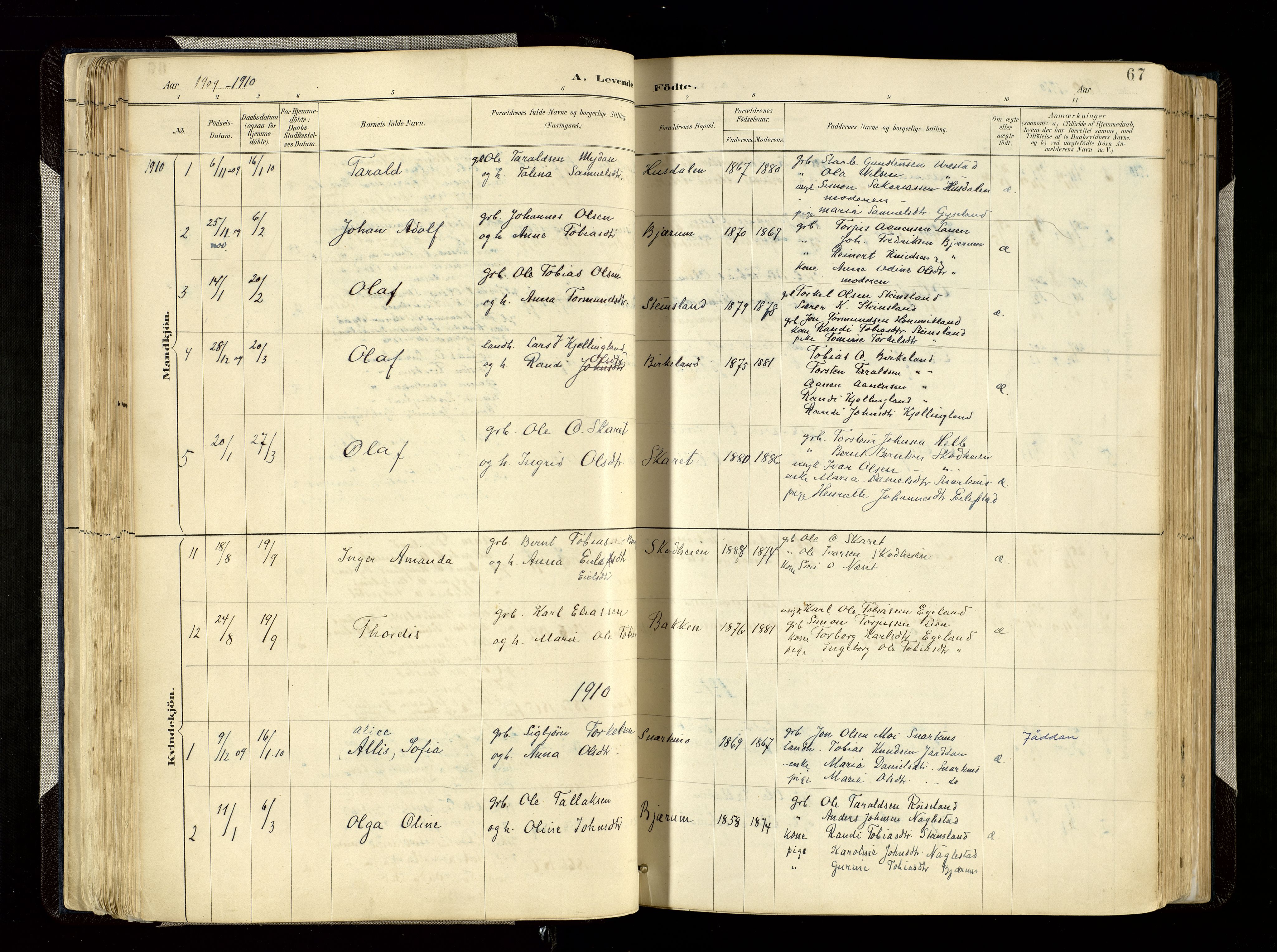 Hægebostad sokneprestkontor, AV/SAK-1111-0024/F/Fa/Faa/L0006: Ministerialbok nr. A 6, 1887-1929, s. 67