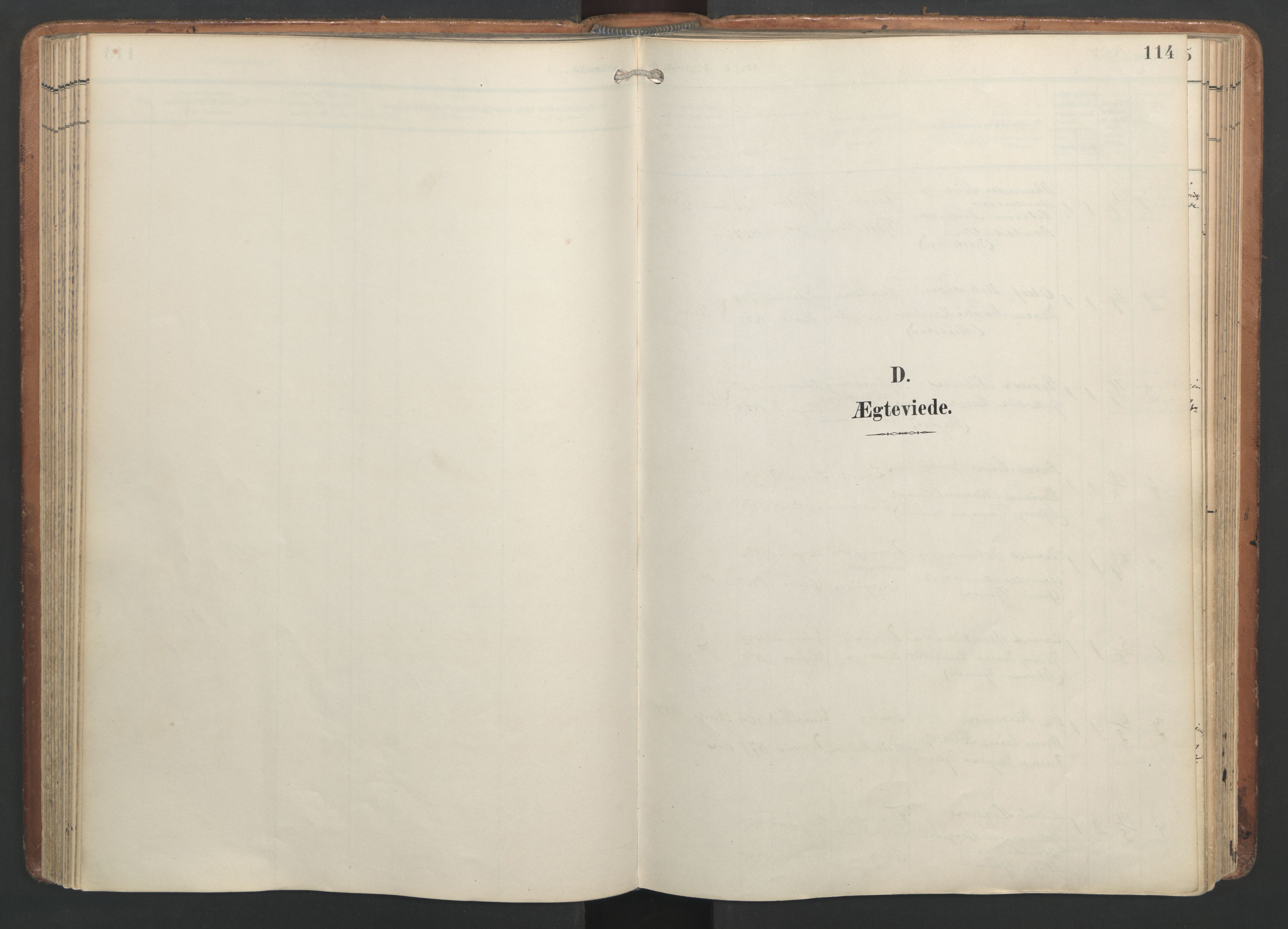 Ministerialprotokoller, klokkerbøker og fødselsregistre - Nordland, AV/SAT-A-1459/820/L0298: Ministerialbok nr. 820A19, 1897-1915, s. 114