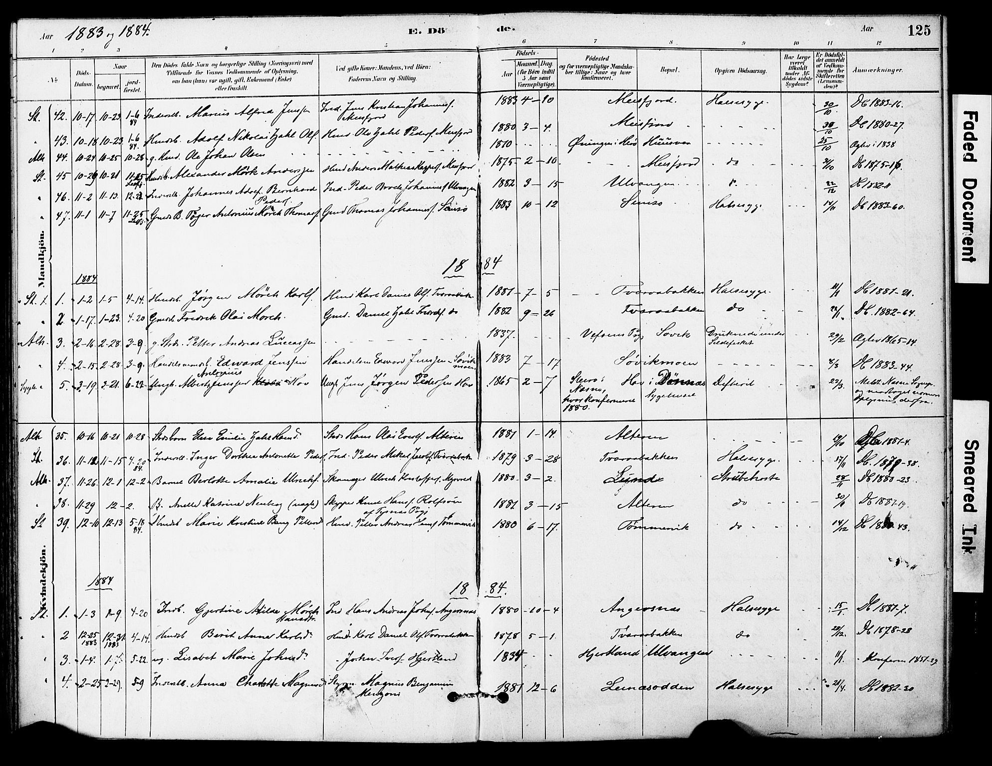 Ministerialprotokoller, klokkerbøker og fødselsregistre - Nordland, AV/SAT-A-1459/830/L0450: Ministerialbok nr. 830A14, 1879-1896, s. 125