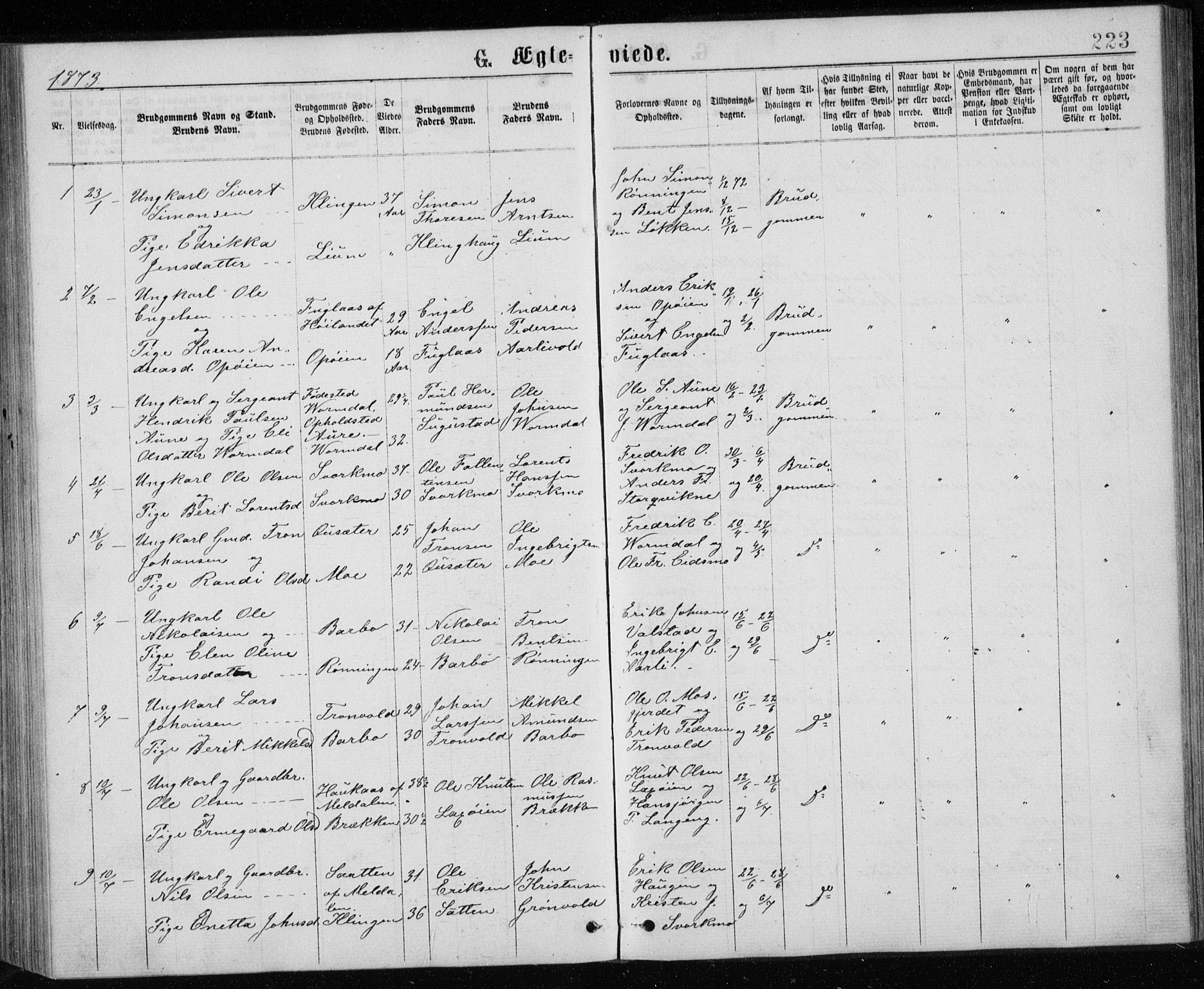 Ministerialprotokoller, klokkerbøker og fødselsregistre - Sør-Trøndelag, AV/SAT-A-1456/671/L0843: Klokkerbok nr. 671C02, 1873-1892, s. 223