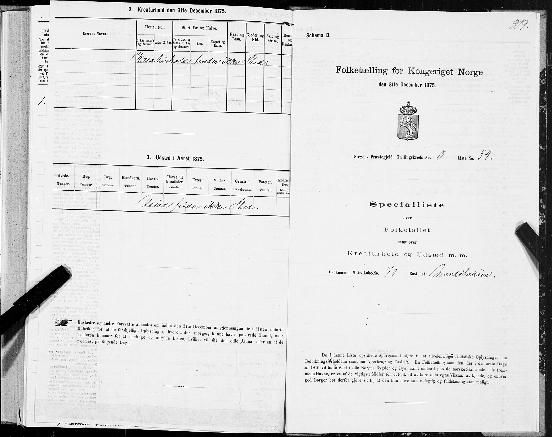 SAT, Folketelling 1875 for 1848P Steigen prestegjeld, 1875, s. 1319