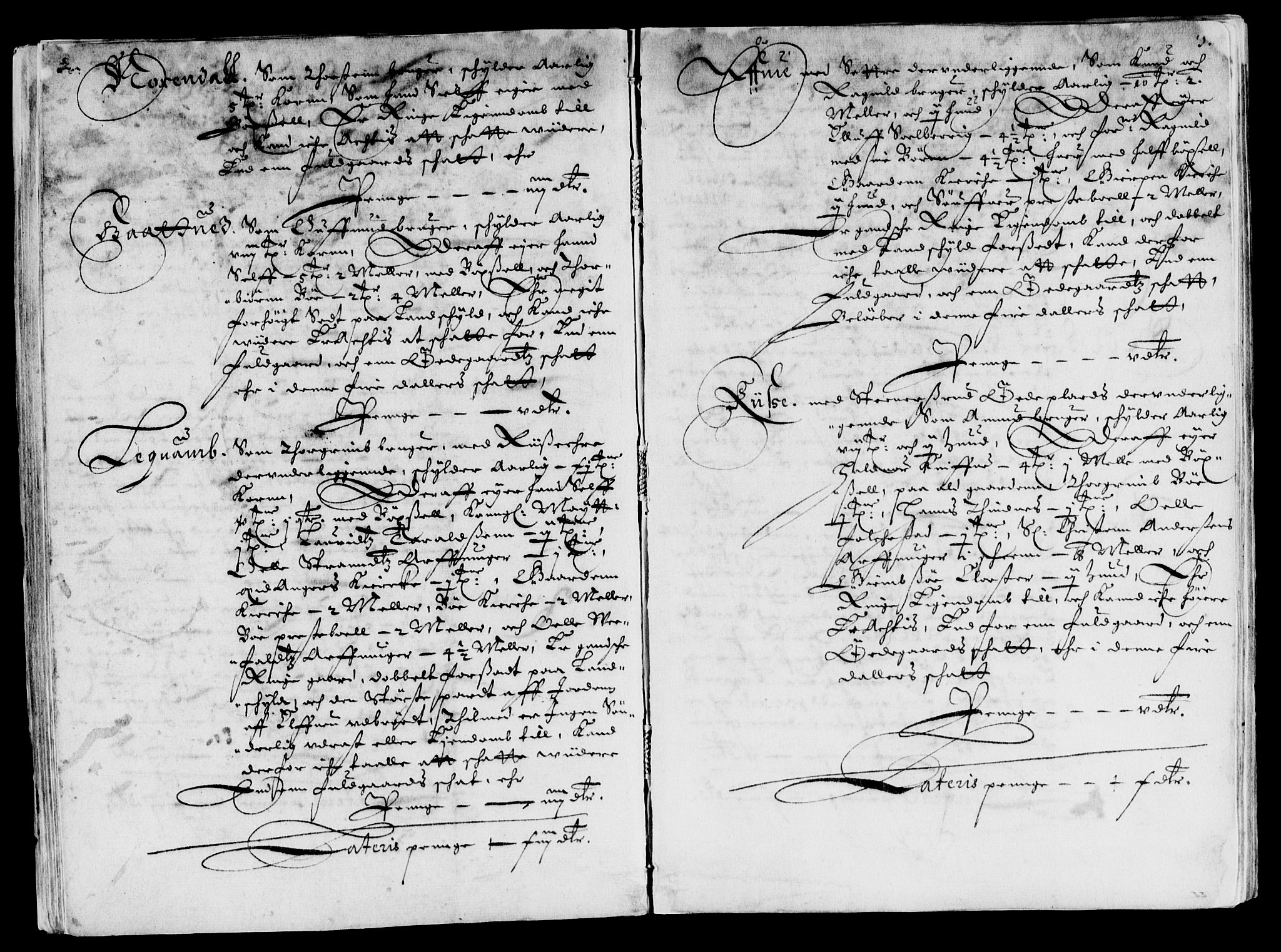 Rentekammeret inntil 1814, Reviderte regnskaper, Lensregnskaper, RA/EA-5023/R/Rb/Rbp/L0037: Bratsberg len, 1650-1652