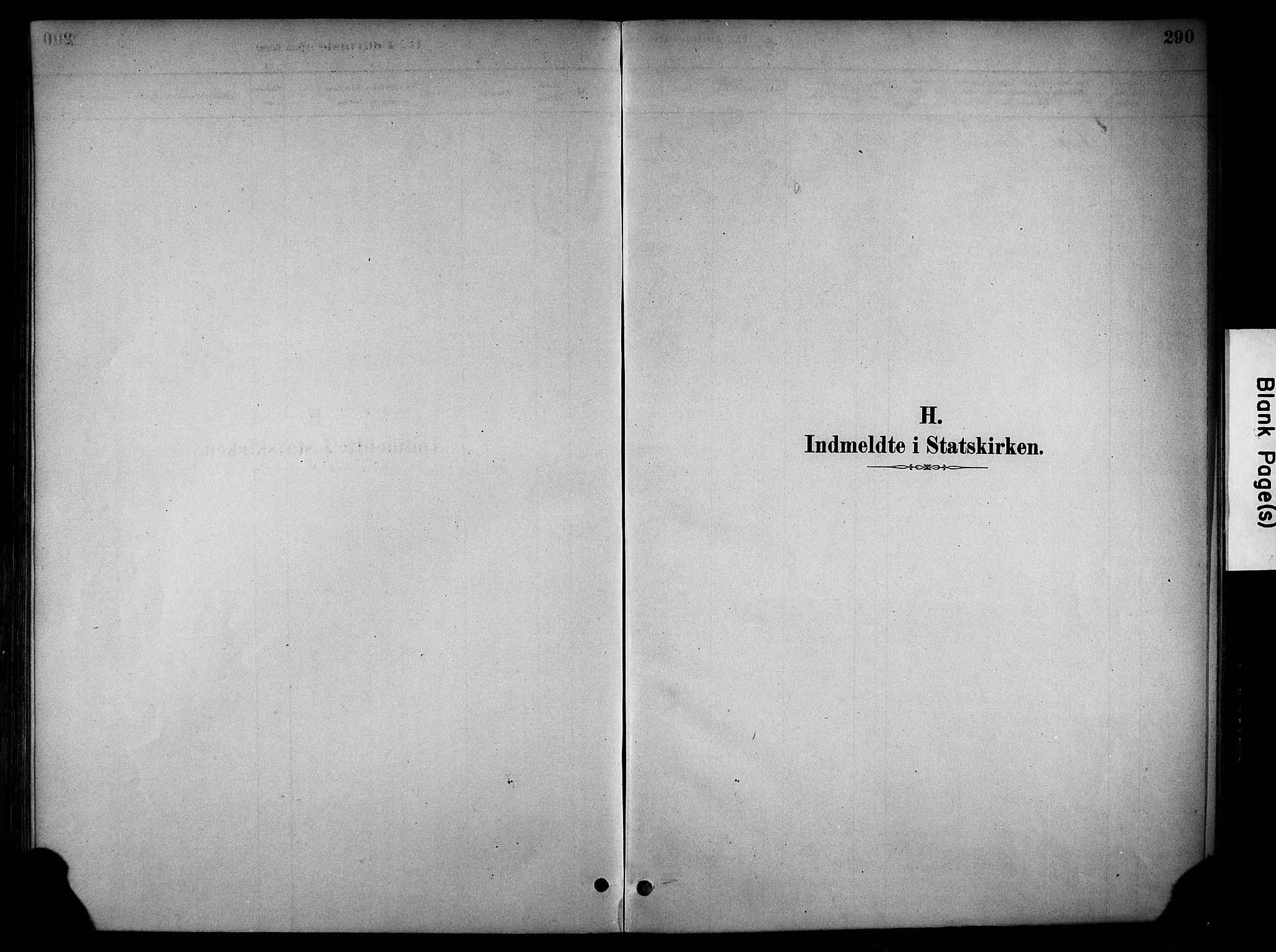 Stange prestekontor, SAH/PREST-002/K/L0018: Ministerialbok nr. 18, 1880-1896, s. 290