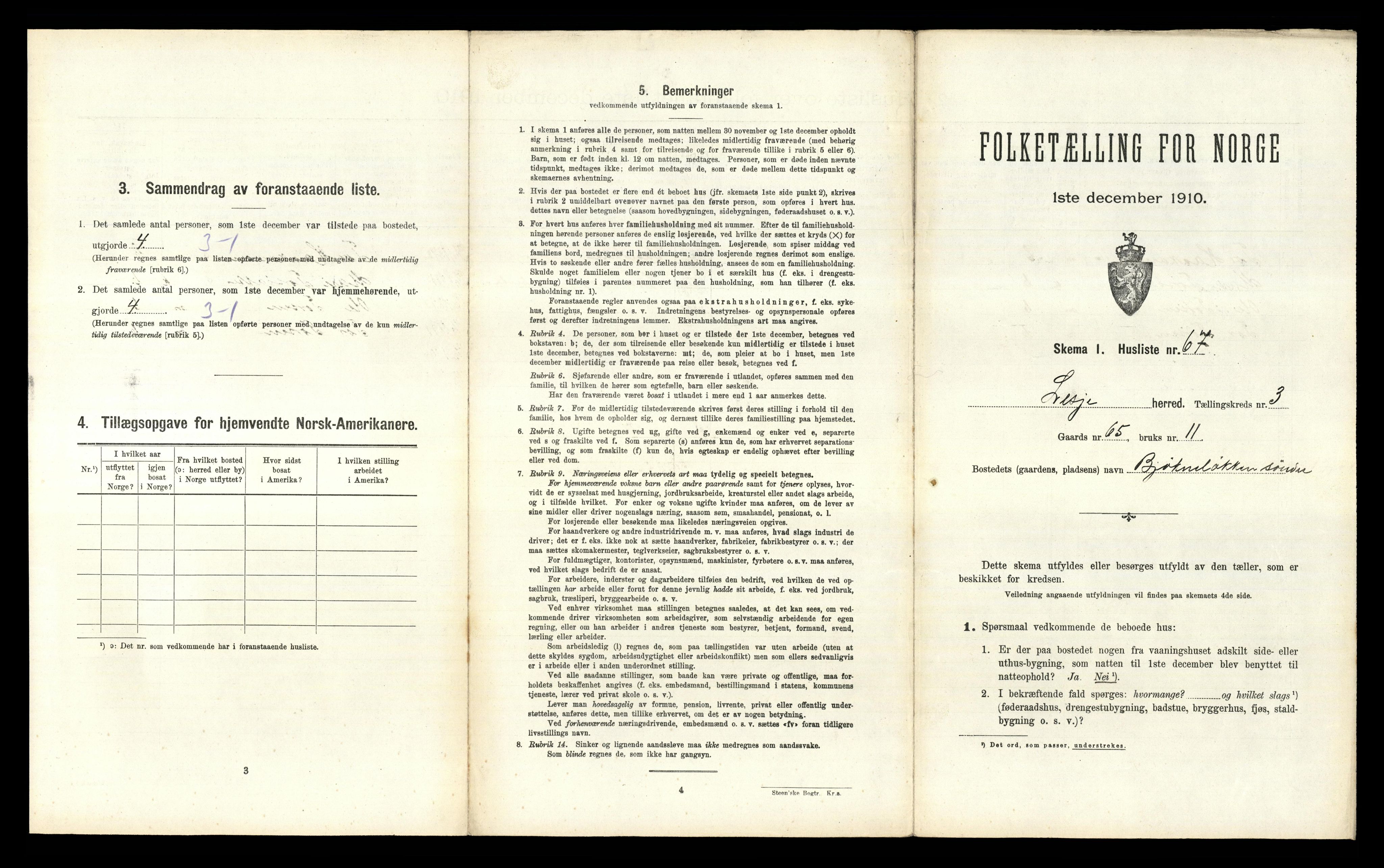 RA, Folketelling 1910 for 0512 Lesja herred, 1910, s. 405