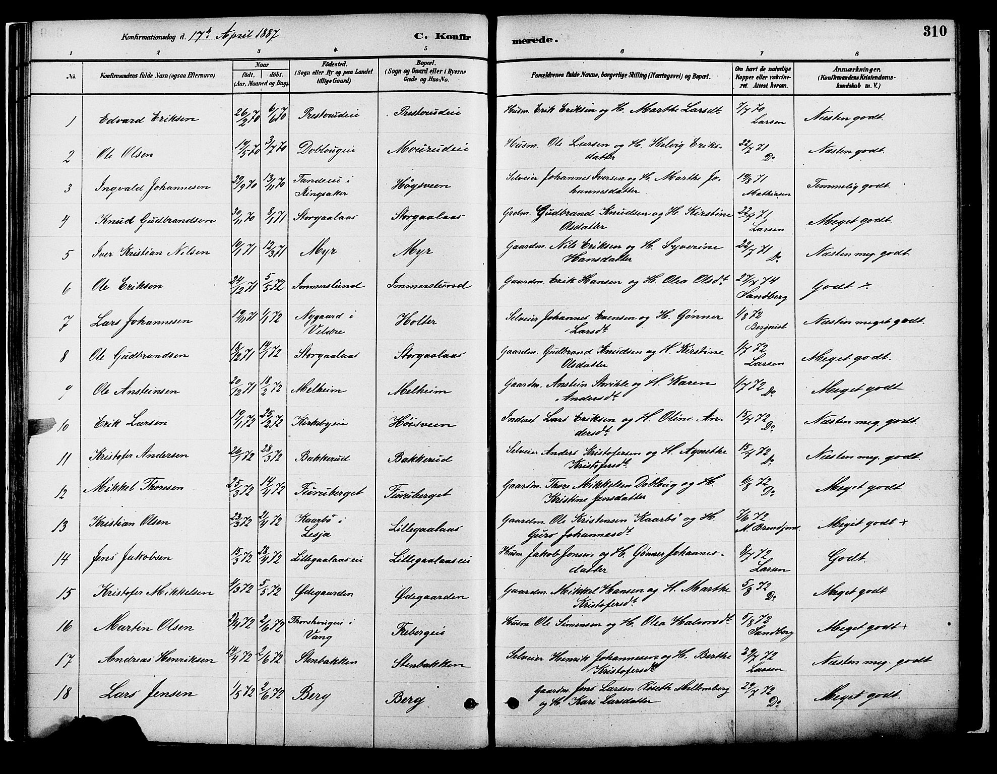 Vang prestekontor, Hedmark, AV/SAH-PREST-008/H/Ha/Haa/L0018B: Ministerialbok nr. 18B, 1880-1906, s. 310