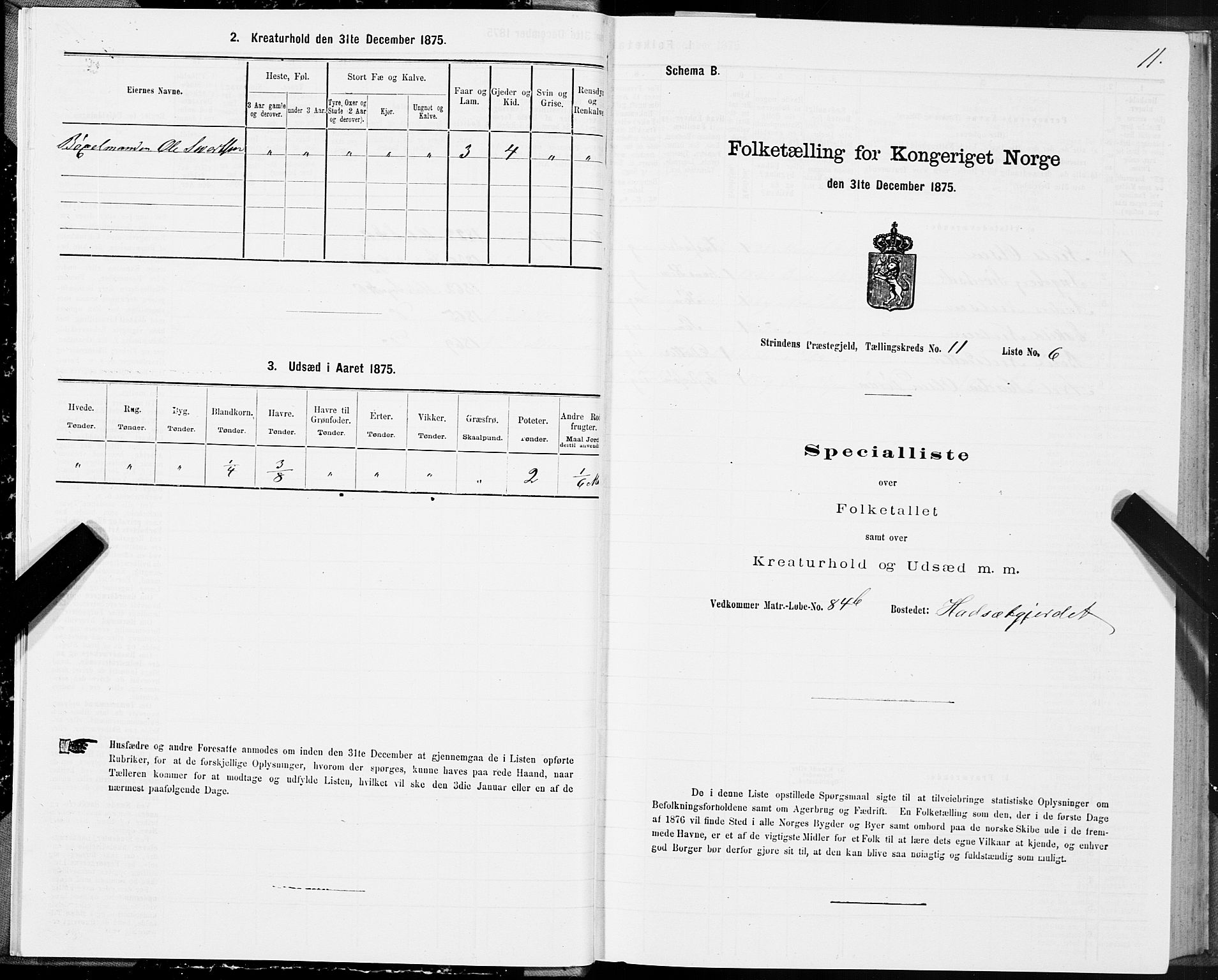 SAT, Folketelling 1875 for 1660P Strinda prestegjeld, 1875, s. 7011