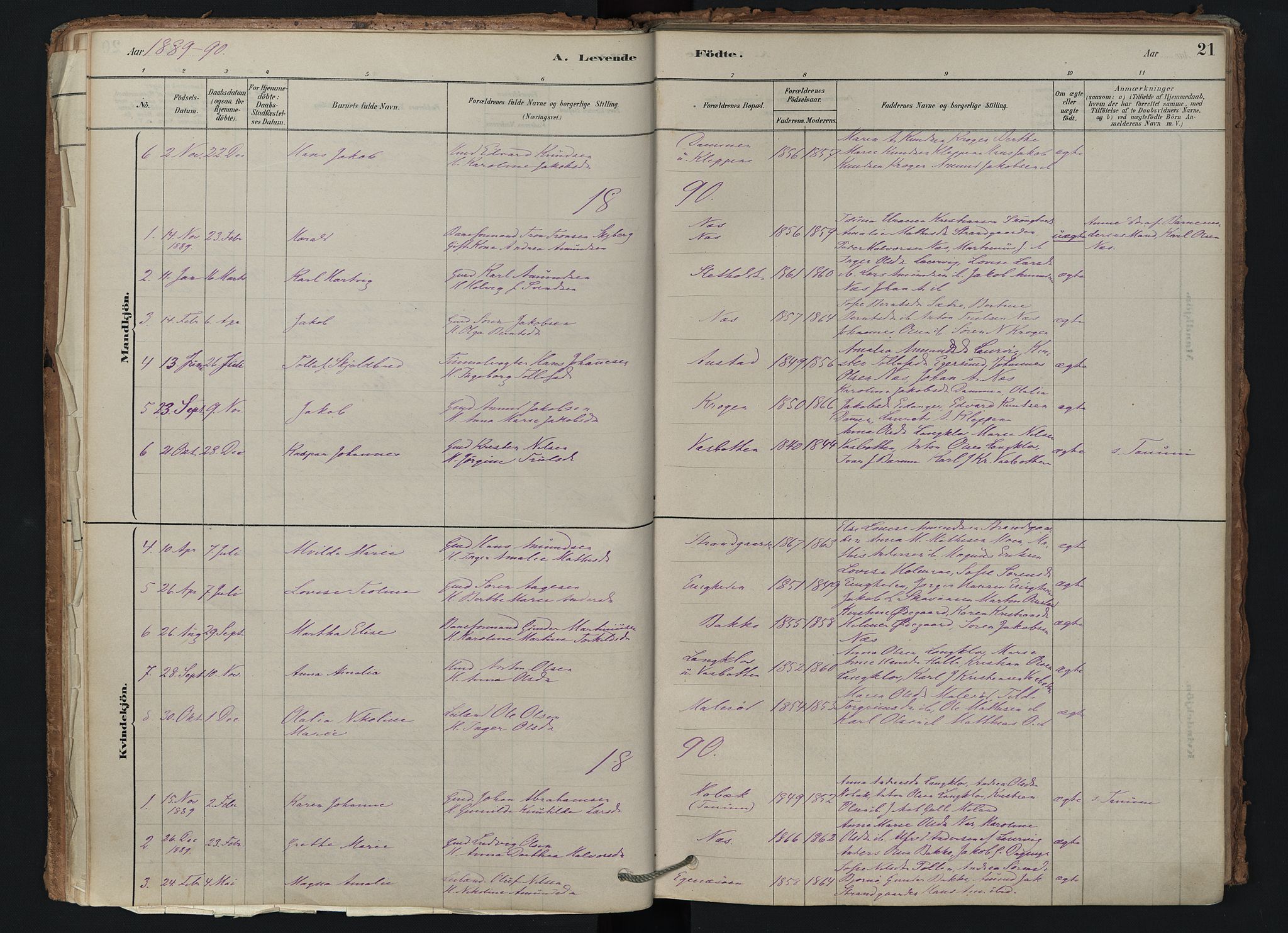 Brunlanes kirkebøker, AV/SAKO-A-342/F/Fd/L0001: Ministerialbok nr. IV 1, 1878-1917, s. 21