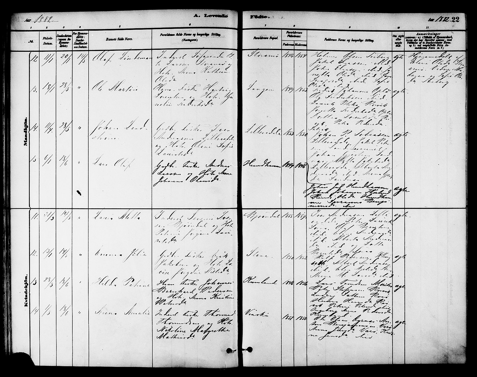 Ministerialprotokoller, klokkerbøker og fødselsregistre - Nord-Trøndelag, AV/SAT-A-1458/784/L0672: Ministerialbok nr. 784A07, 1880-1887, s. 22