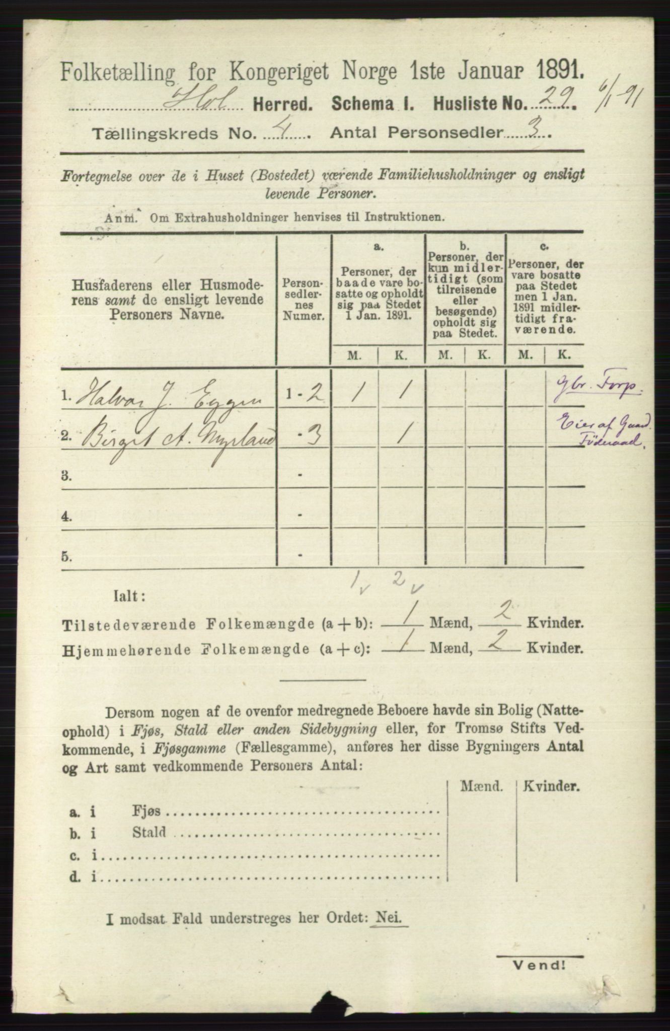 RA, Folketelling 1891 for 0620 Hol herred, 1891, s. 1254