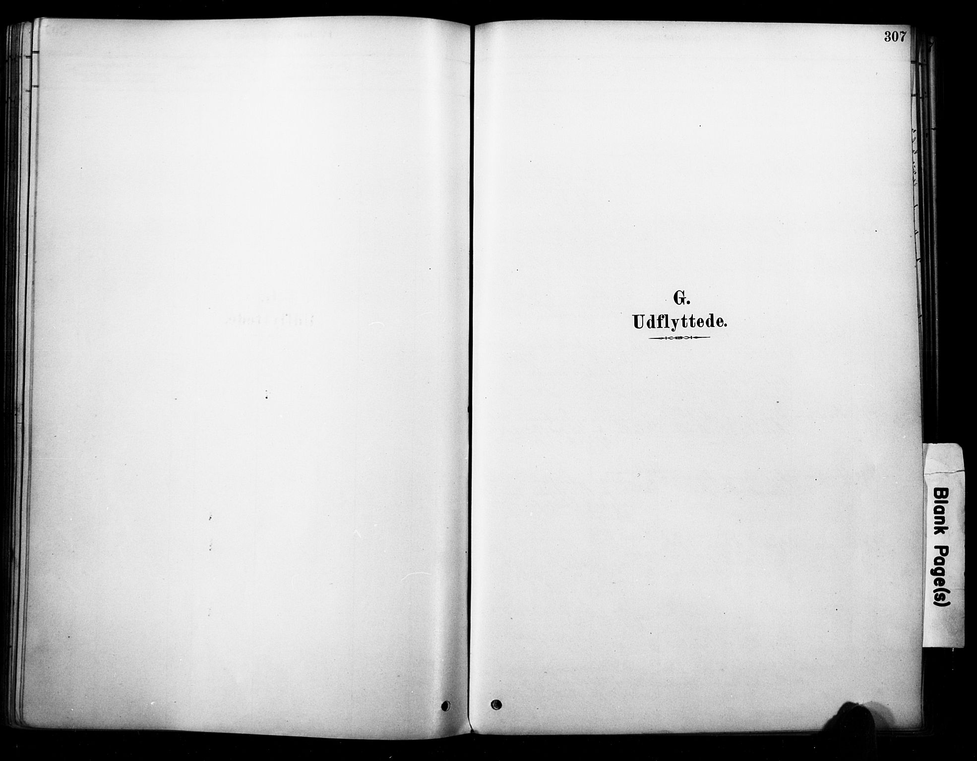 Strømm kirkebøker, SAKO/A-322/F/Fb/L0001: Ministerialbok nr. II 1, 1878-1899, s. 307