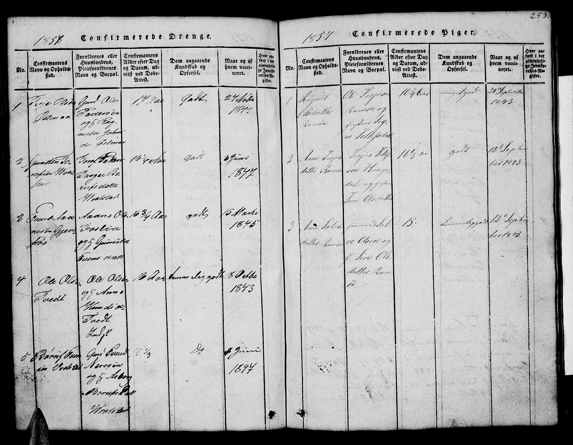 Åmli sokneprestkontor, SAK/1111-0050/F/Fb/Fbb/L0001: Klokkerbok nr. B 1, 1816-1889, s. 253