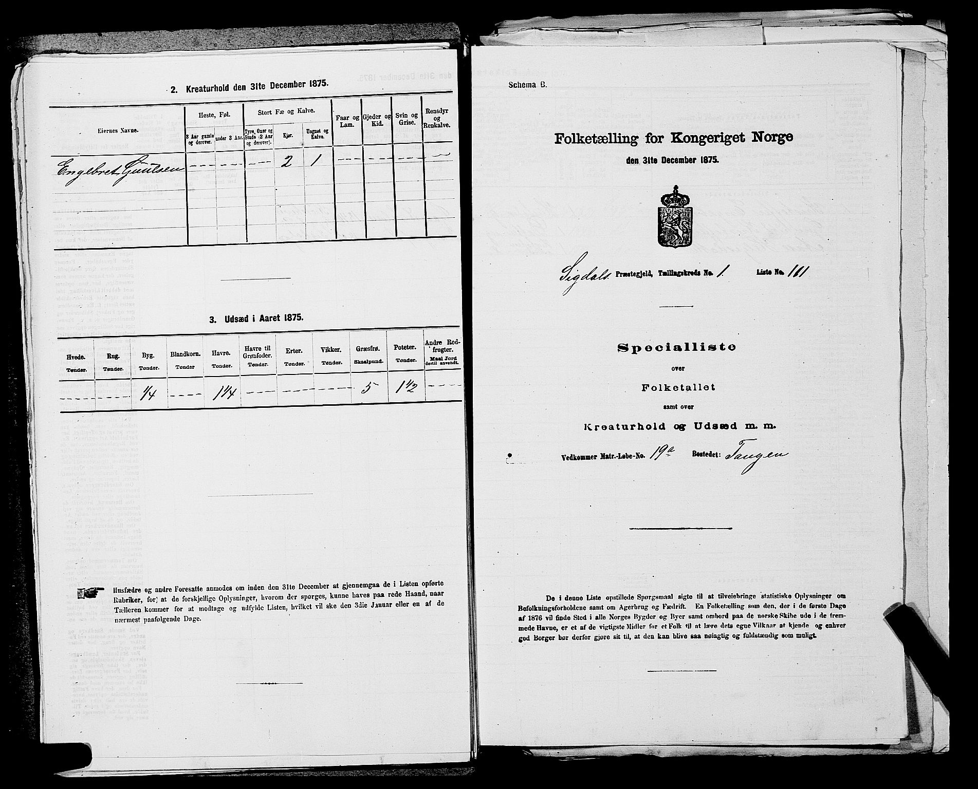 SAKO, Folketelling 1875 for 0621P Sigdal prestegjeld, 1875, s. 305