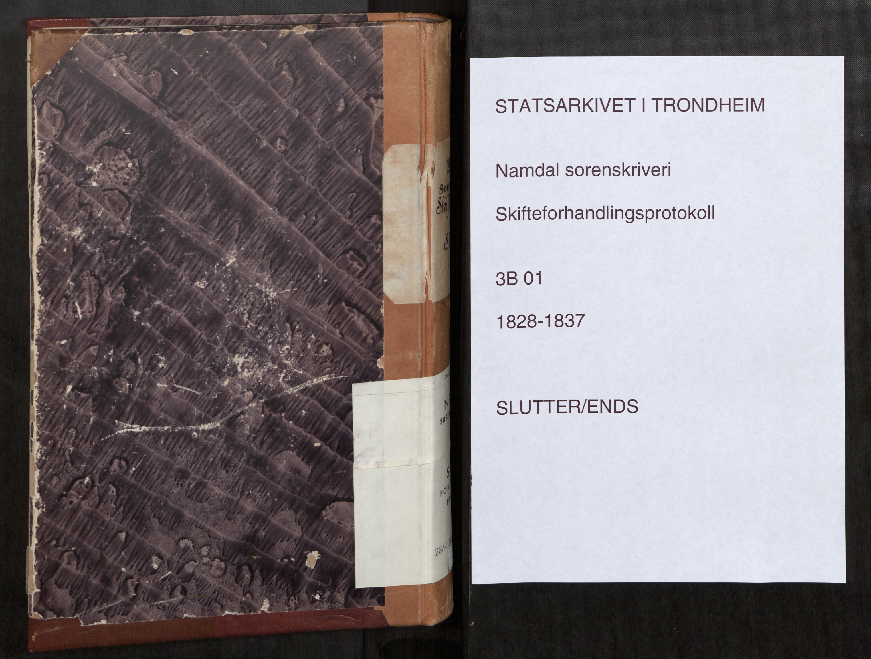 Namdal sorenskriveri, AV/SAT-A-4133/1/3/3B/L0001: Skiftebehandlingsprotokoll, 1828-1837