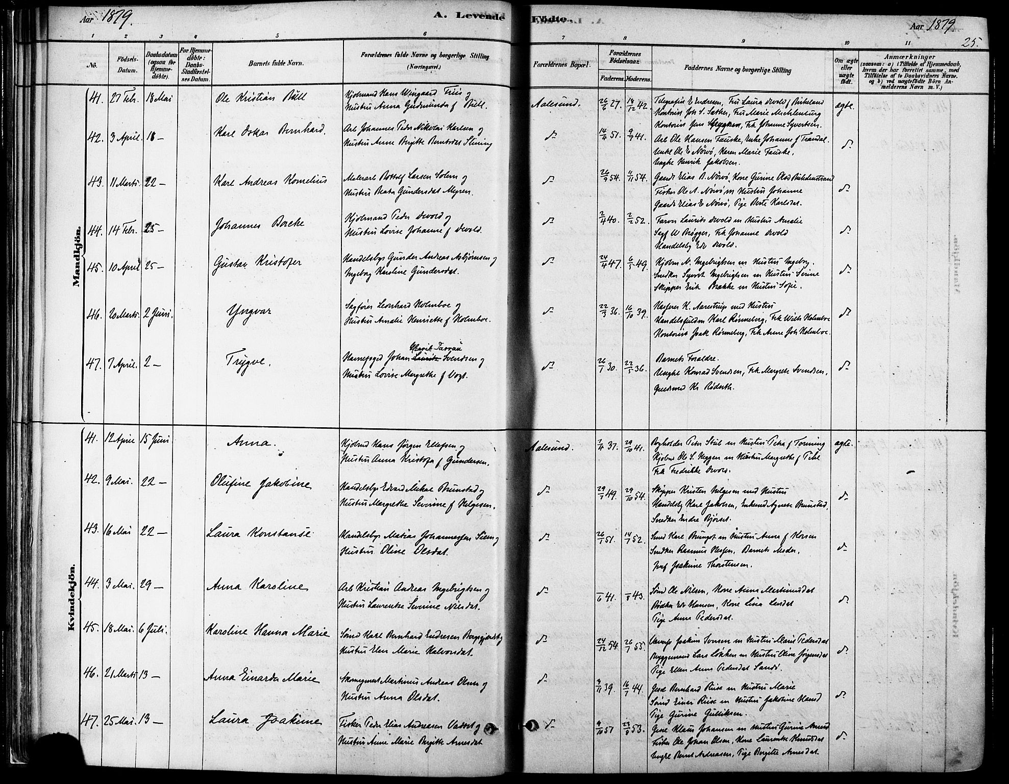 Ministerialprotokoller, klokkerbøker og fødselsregistre - Møre og Romsdal, SAT/A-1454/529/L0454: Ministerialbok nr. 529A04, 1878-1885, s. 25