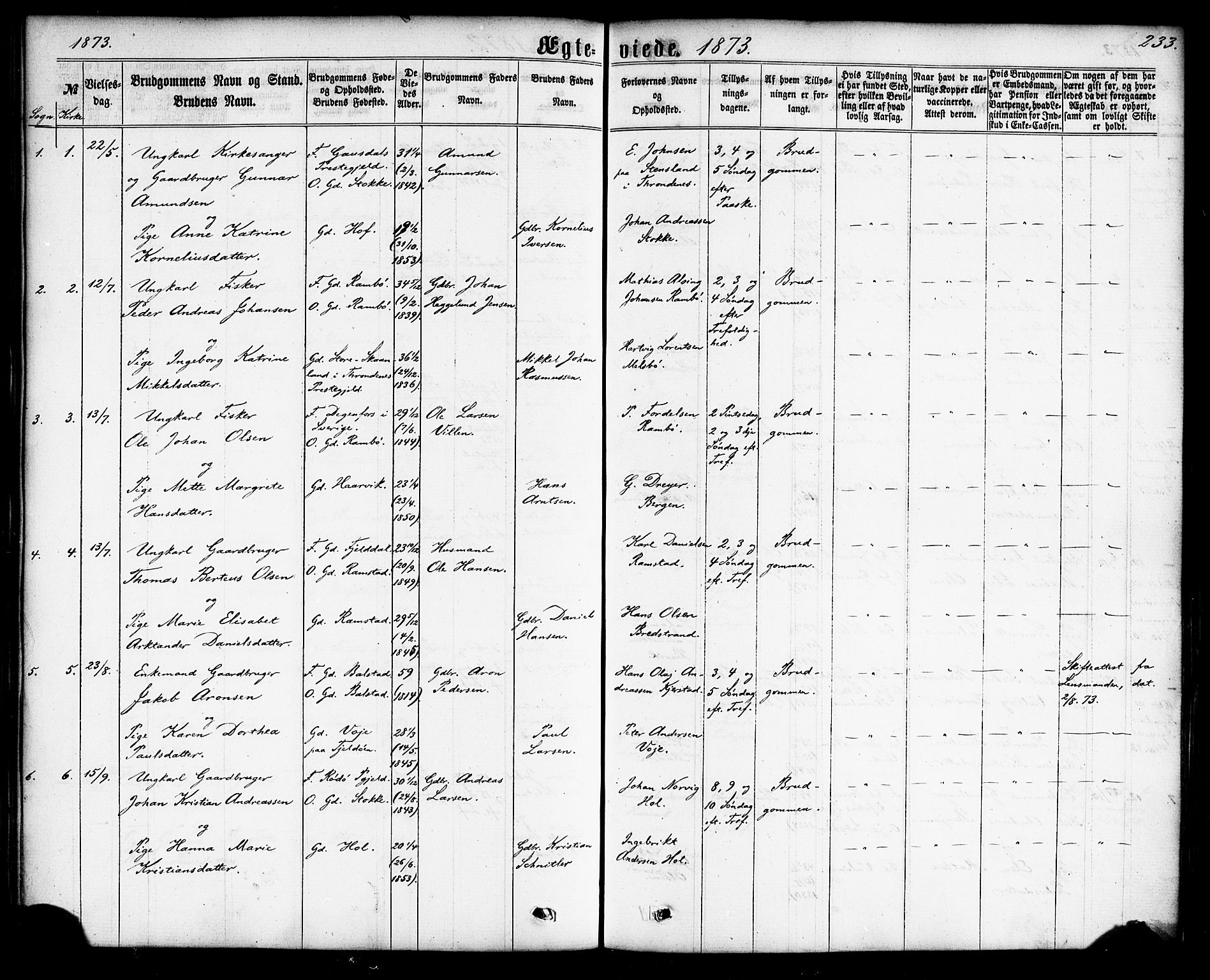 Ministerialprotokoller, klokkerbøker og fødselsregistre - Nordland, AV/SAT-A-1459/865/L0923: Ministerialbok nr. 865A01, 1864-1884, s. 233