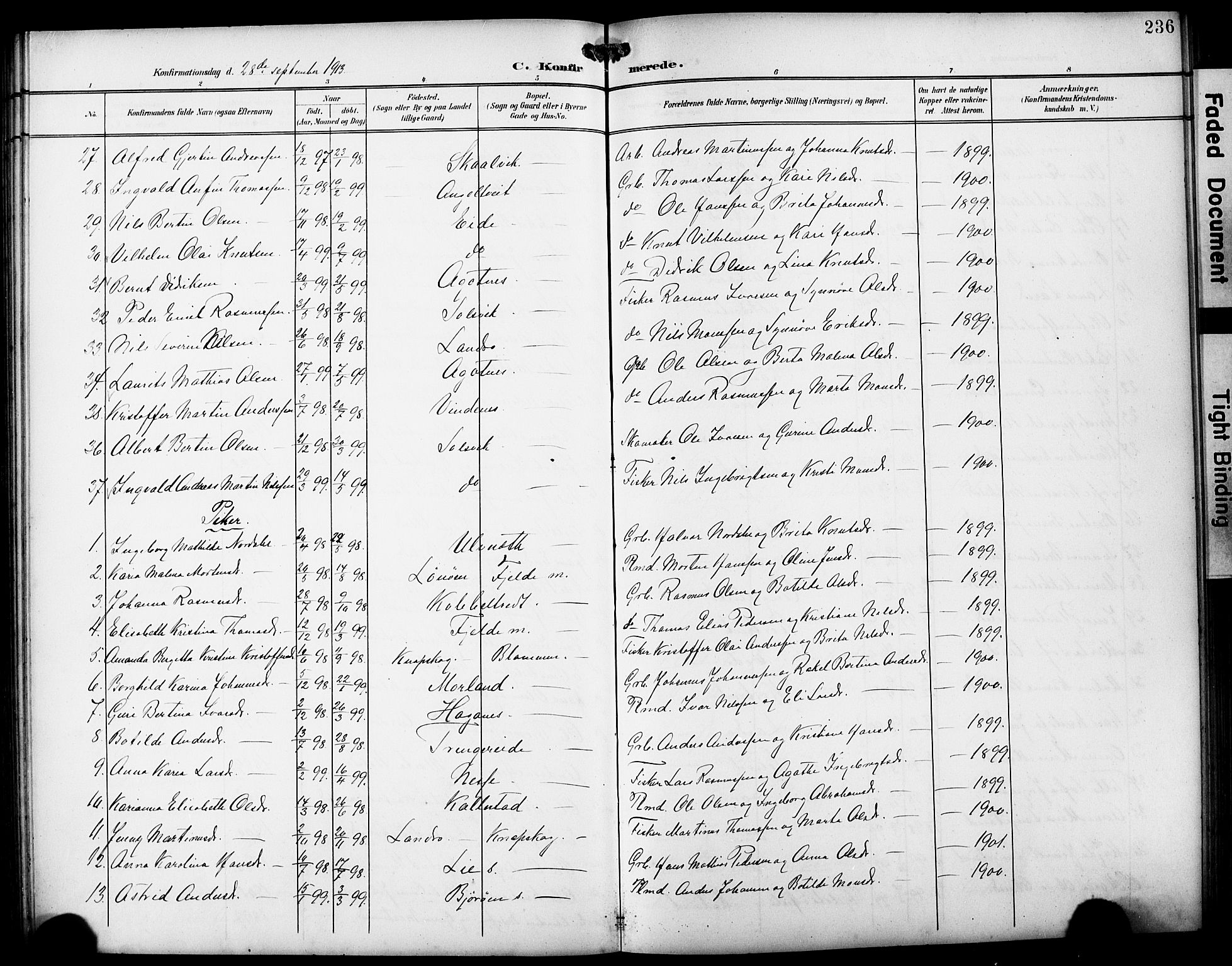 Fjell sokneprestembete, AV/SAB-A-75301/H/Hab: Klokkerbok nr. A 5, 1899-1918, s. 236