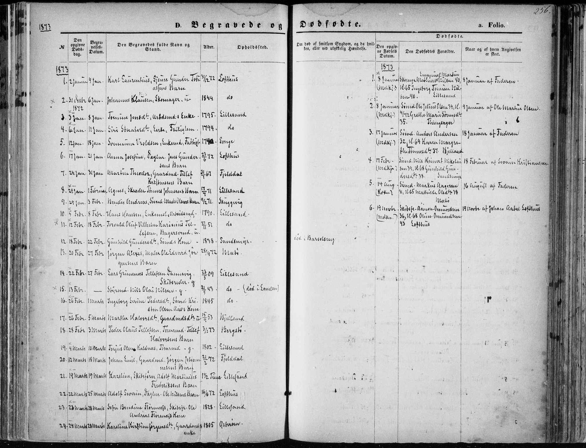 Vestre Moland sokneprestkontor, SAK/1111-0046/F/Fa/Fab/L0008: Ministerialbok nr. A 8, 1873-1883, s. 256