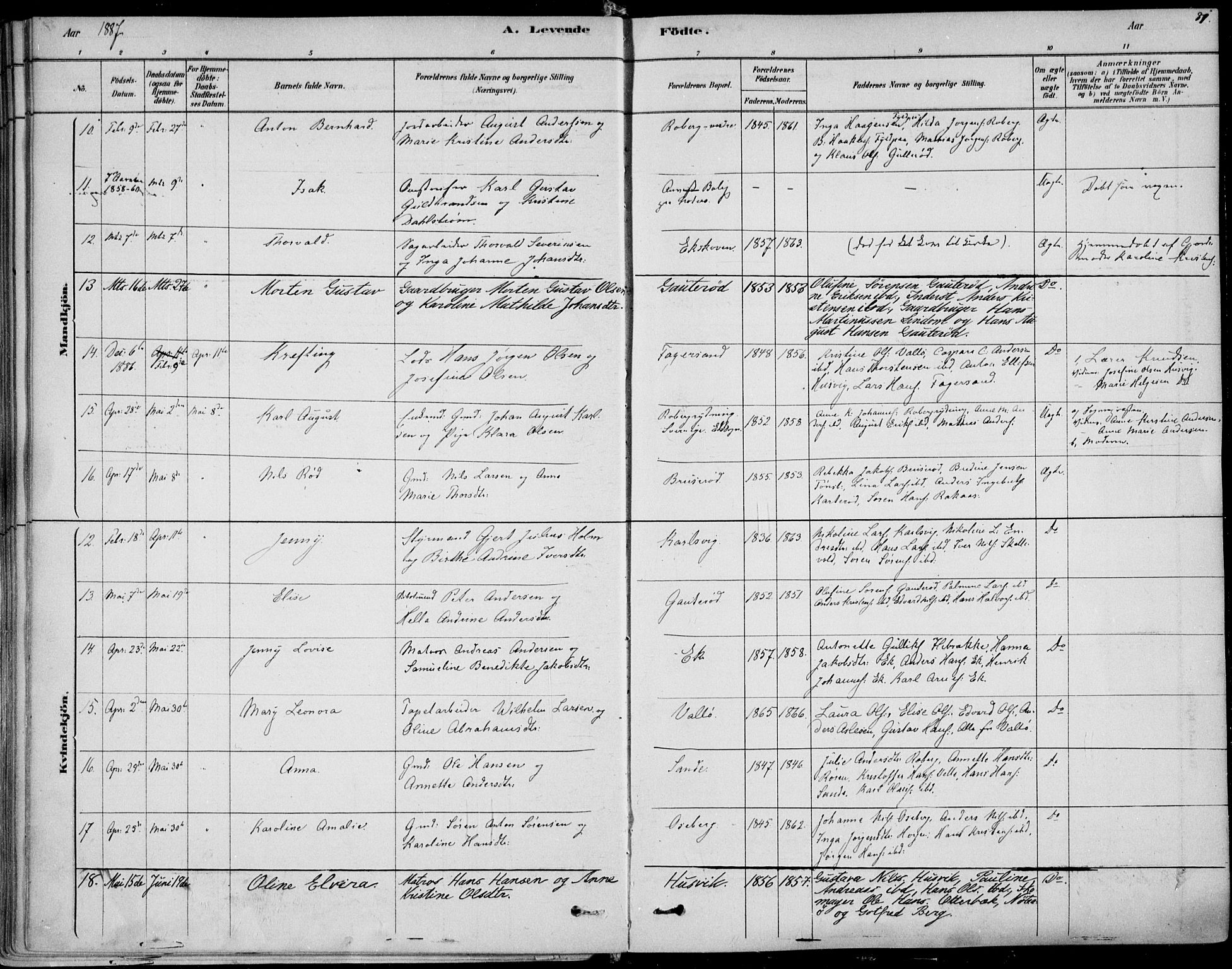 Sem kirkebøker, AV/SAKO-A-5/F/Fb/L0004: Ministerialbok nr. II 4, 1878-1891, s. 81