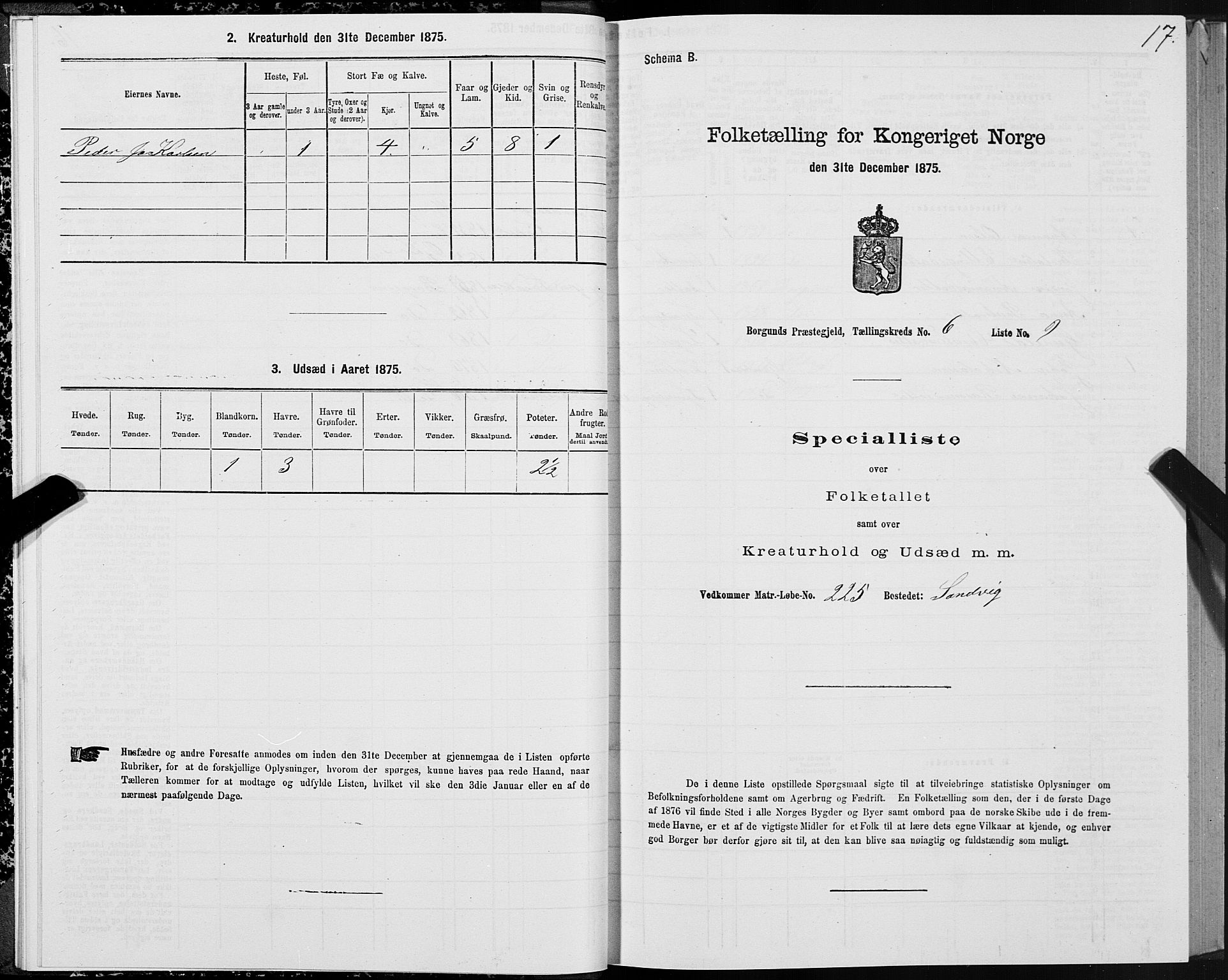 SAT, Folketelling 1875 for 1531P Borgund prestegjeld, 1875, s. 4017