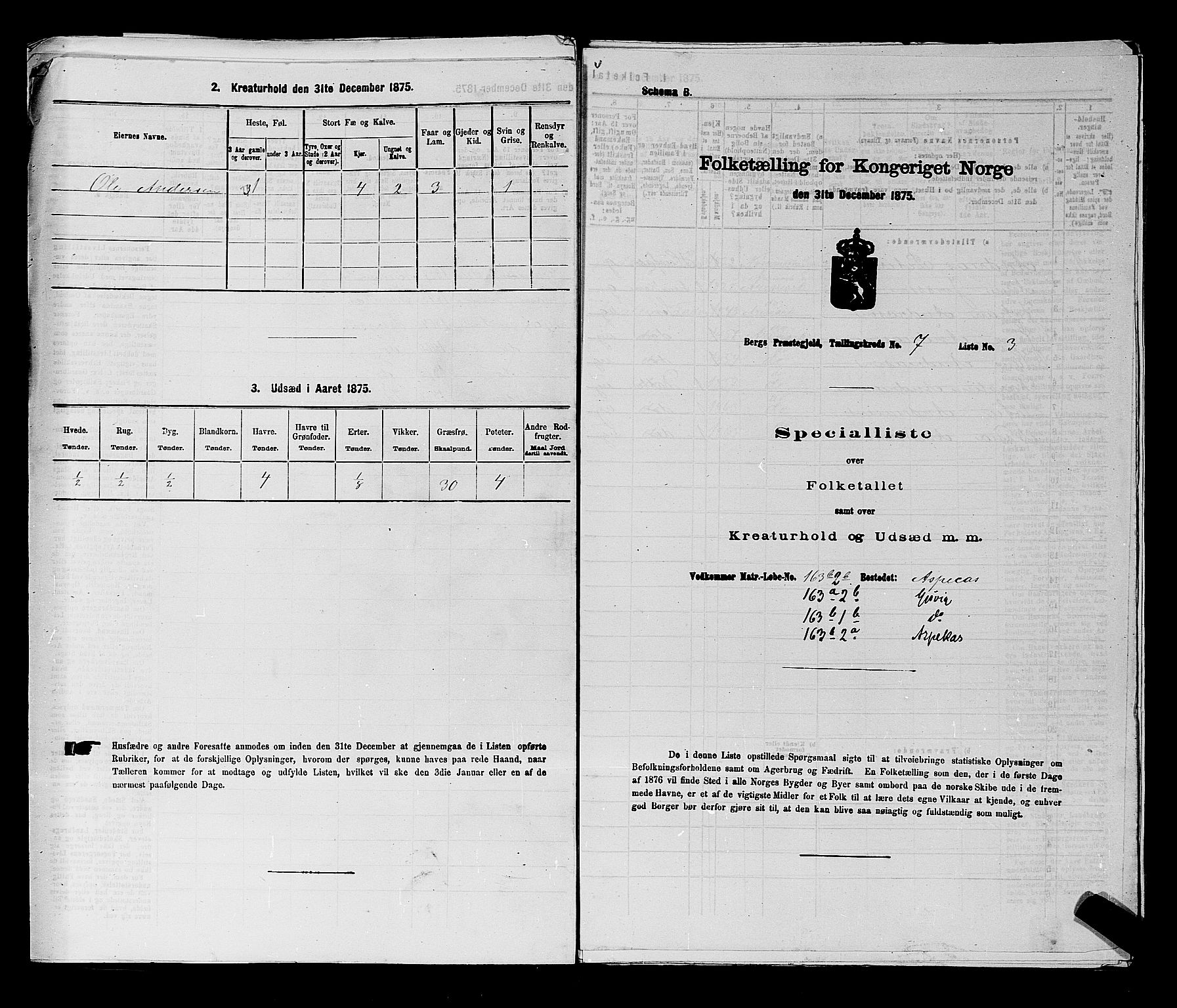 RA, Folketelling 1875 for 0116P Berg prestegjeld, 1875, s. 1105