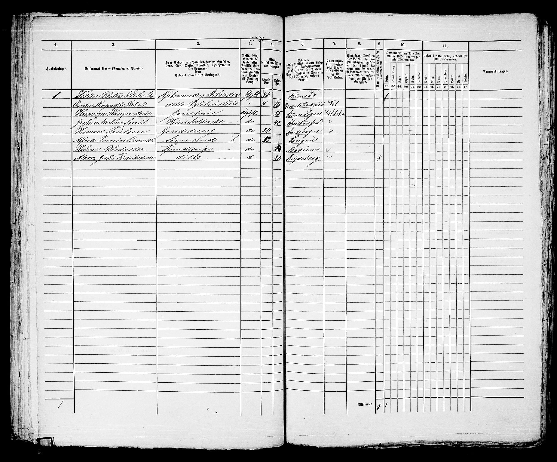 RA, Folketelling 1865 for 0602bP Strømsø prestegjeld i Drammen kjøpstad, 1865, s. 742