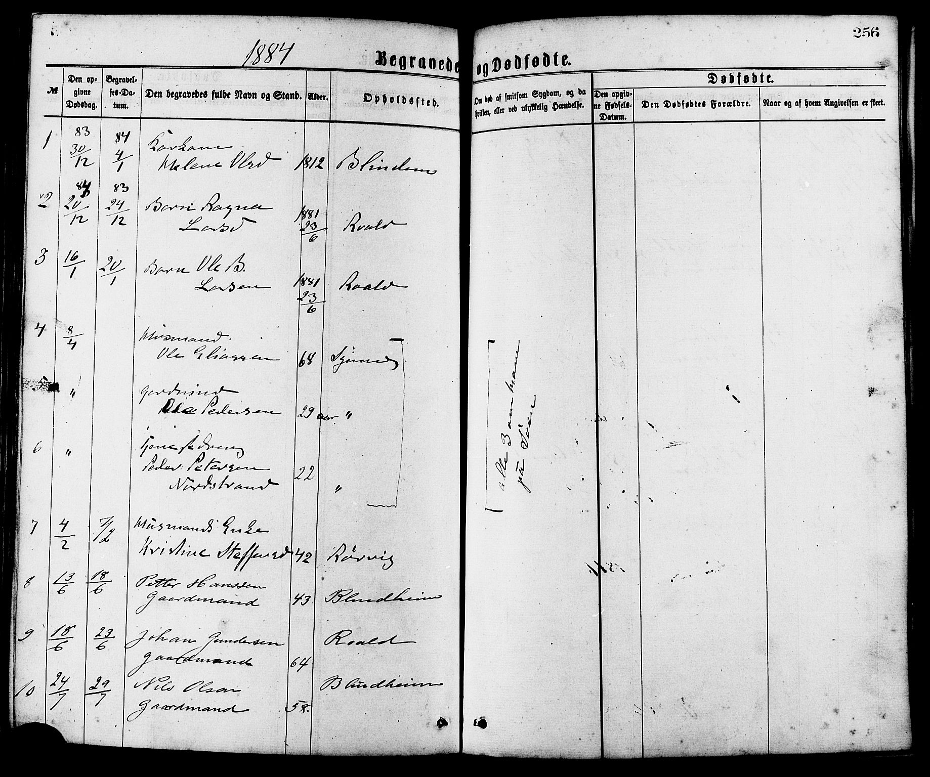 Ministerialprotokoller, klokkerbøker og fødselsregistre - Møre og Romsdal, AV/SAT-A-1454/537/L0519: Ministerialbok nr. 537A03, 1876-1889, s. 256