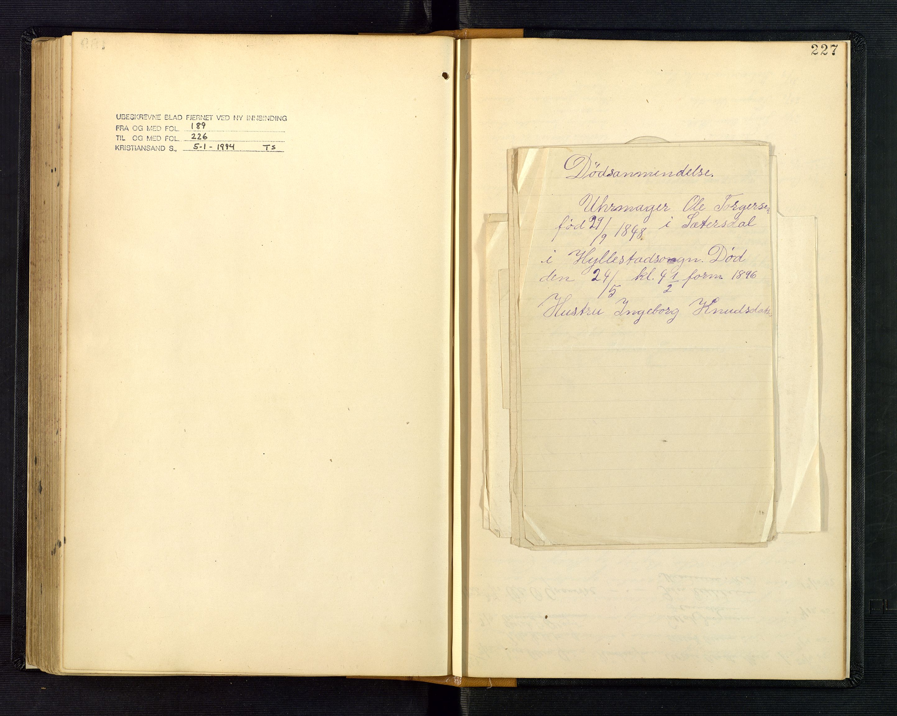 Nedenes sorenskriveri, AV/SAK-1221-0006/H/Ha/L0003: Dødsfallsprotokoll nr 3, 1890-1914, s. 227