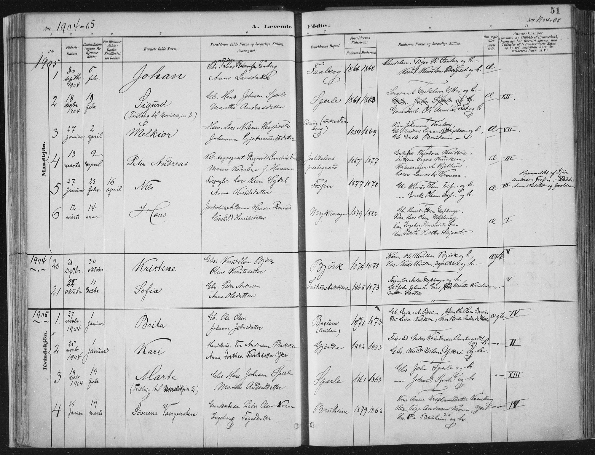 Jostedal sokneprestembete, AV/SAB-A-80601/H/Haa/Haab/L0001: Ministerialbok nr. B 1, 1887-1914, s. 51