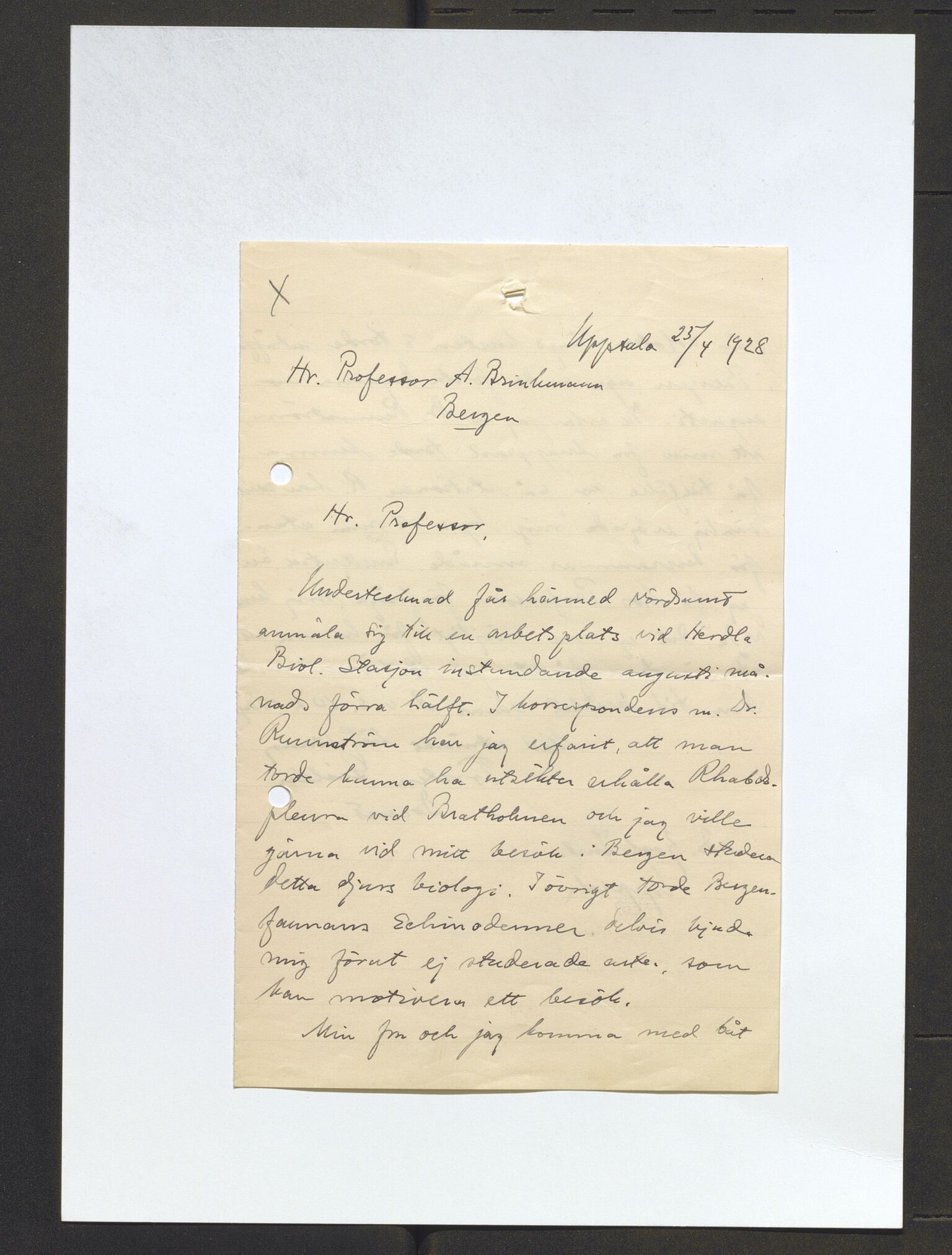 Bergens Museum, AV/SAB-A-17301/13/D/L0002: Korrespondanse , 1928-1940, s. 93