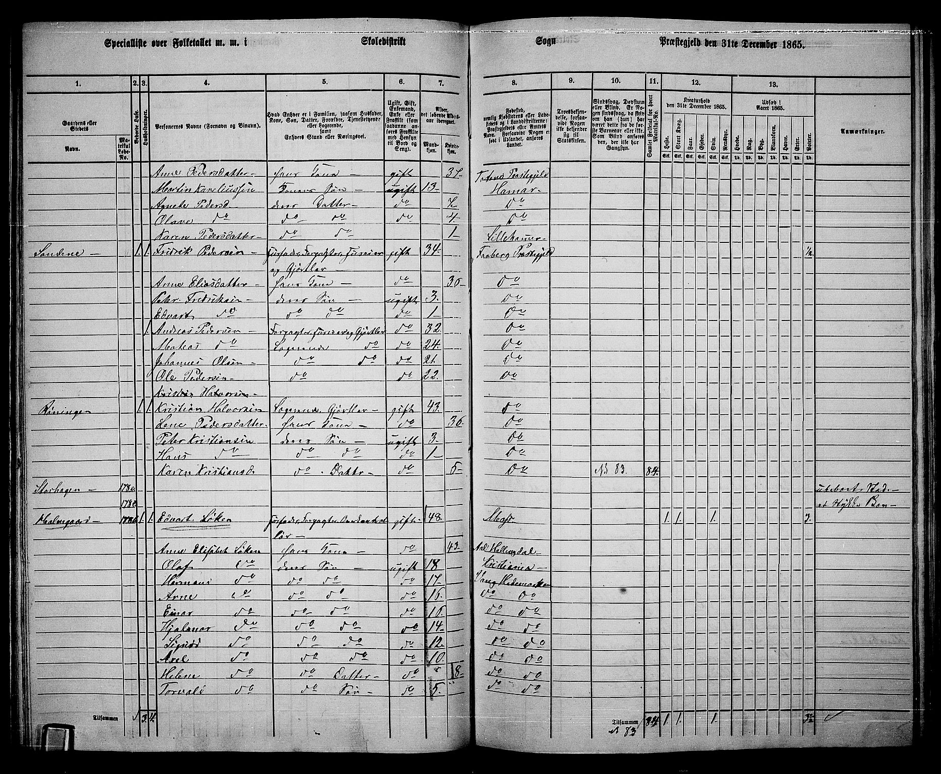 RA, Folketelling 1865 for 0524L Fåberg prestegjeld, Fåberg sokn og Lillehammer landsokn, 1865, s. 113