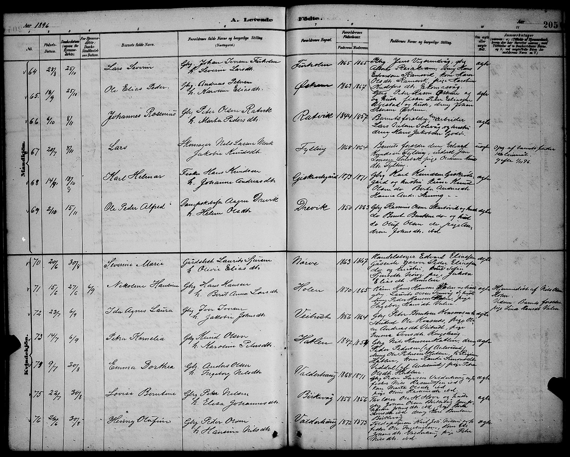 Ministerialprotokoller, klokkerbøker og fødselsregistre - Møre og Romsdal, AV/SAT-A-1454/528/L0431: Klokkerbok nr. 528C12, 1885-1898, s. 205