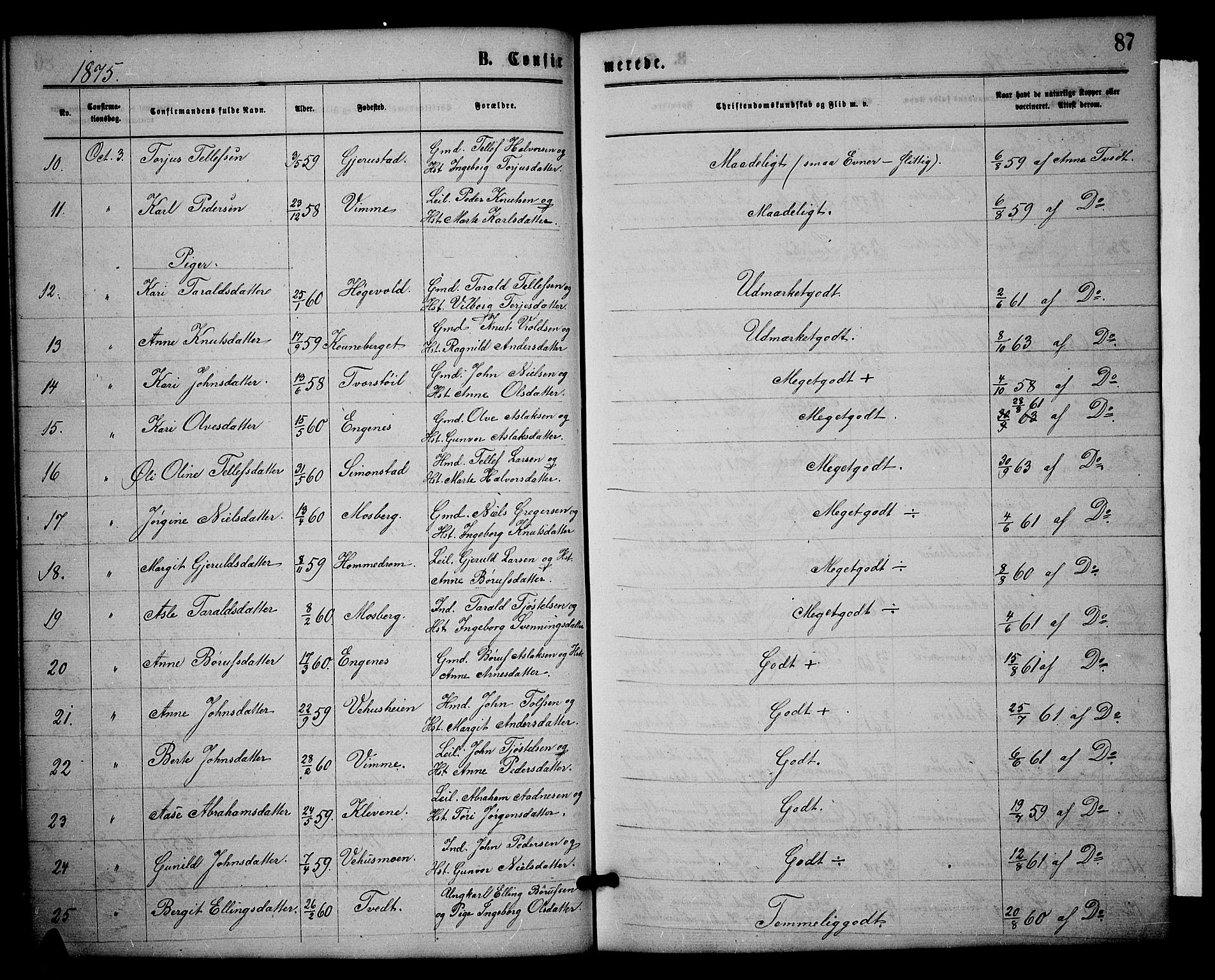 Åmli sokneprestkontor, AV/SAK-1111-0050/F/Fb/Fbc/L0003: Klokkerbok nr. B 3, 1868-1888, s. 87