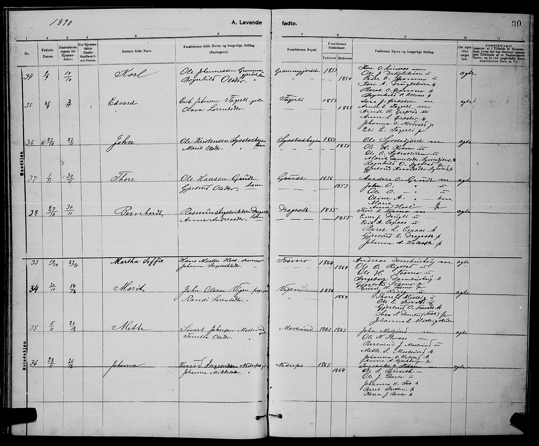 Ministerialprotokoller, klokkerbøker og fødselsregistre - Sør-Trøndelag, SAT/A-1456/672/L0863: Klokkerbok nr. 672C02, 1888-1901, s. 30