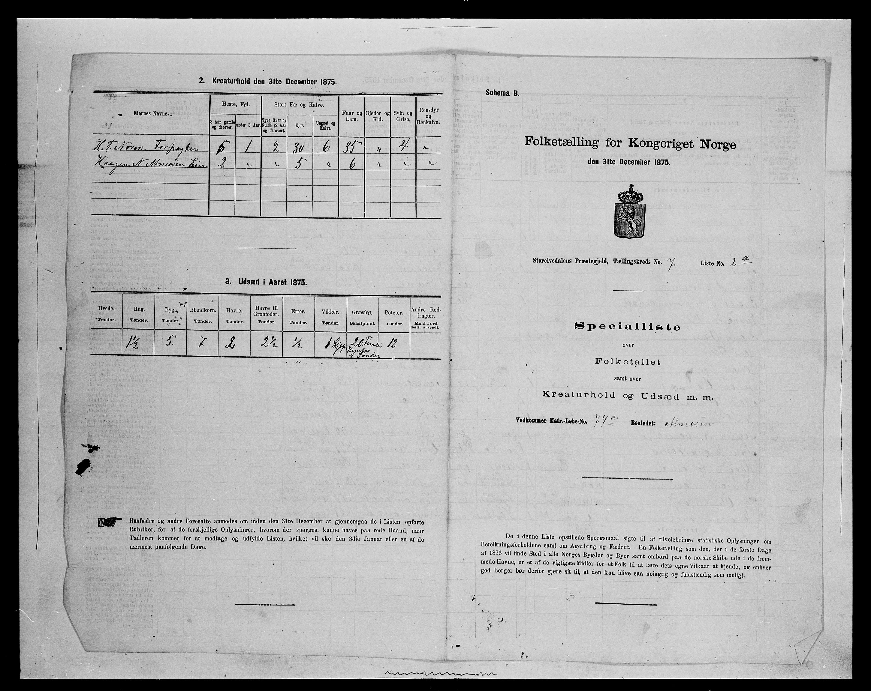 SAH, Folketelling 1875 for 0430P Stor-Elvdal prestegjeld, 1875, s. 815