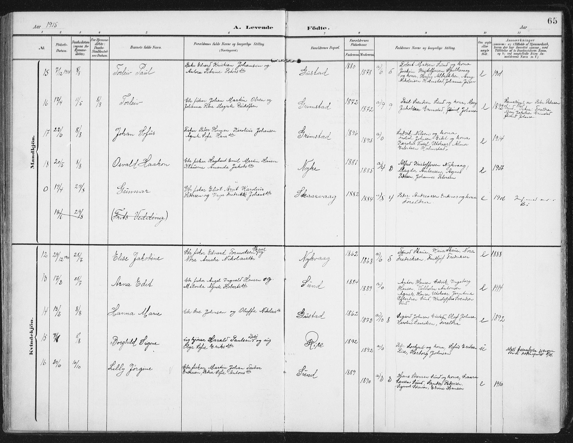 Ministerialprotokoller, klokkerbøker og fødselsregistre - Nordland, SAT/A-1459/892/L1321: Ministerialbok nr. 892A02, 1902-1918, s. 65