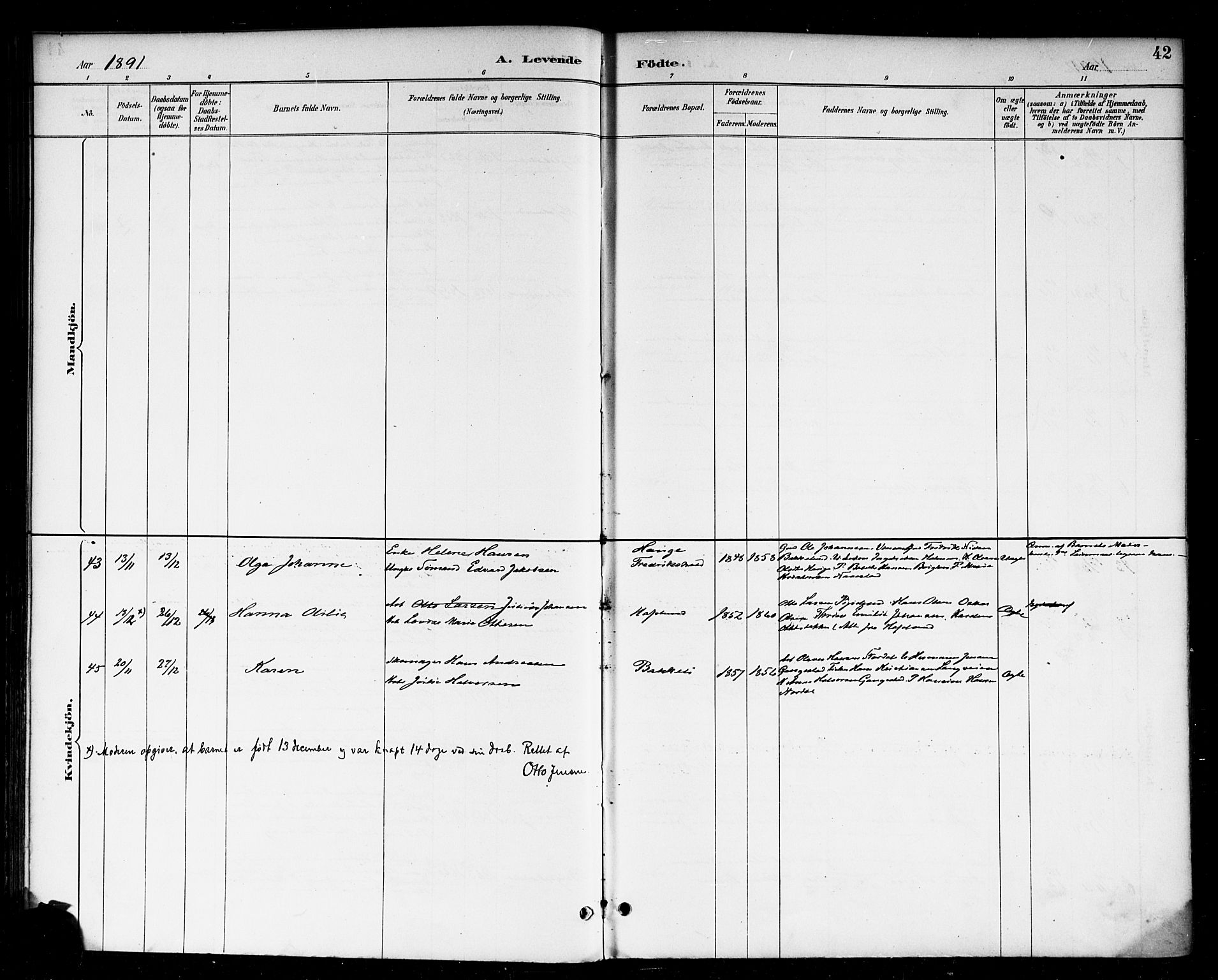 Skjeberg prestekontor Kirkebøker, SAO/A-10923/F/Fa/L0009: Ministerialbok nr. I 9, 1886-1897, s. 42