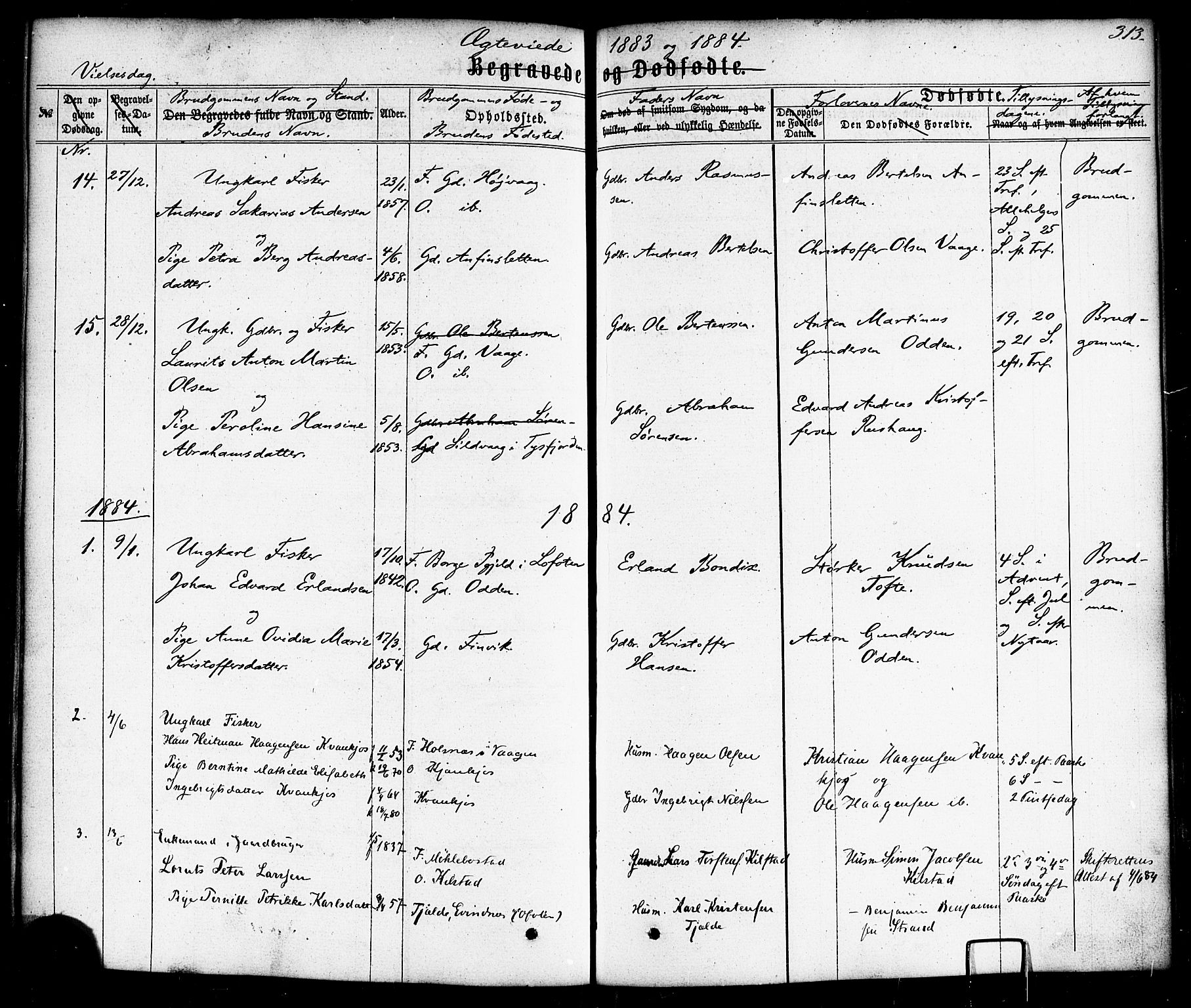 Ministerialprotokoller, klokkerbøker og fødselsregistre - Nordland, SAT/A-1459/872/L1034: Ministerialbok nr. 872A09, 1864-1884, s. 313