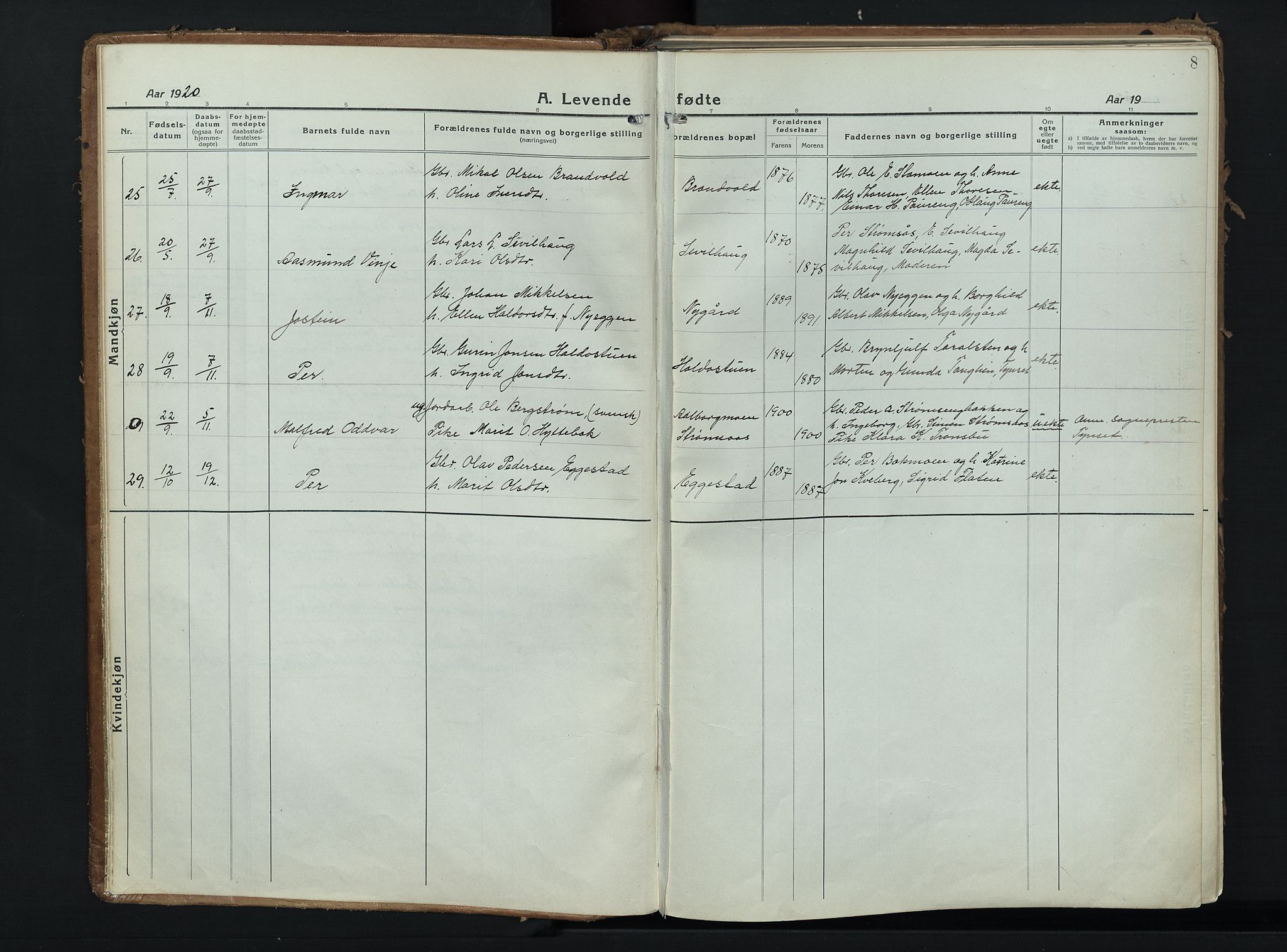 Alvdal prestekontor, AV/SAH-PREST-060/H/Ha/Haa/L0006: Ministerialbok nr. 6, 1920-1937, s. 8