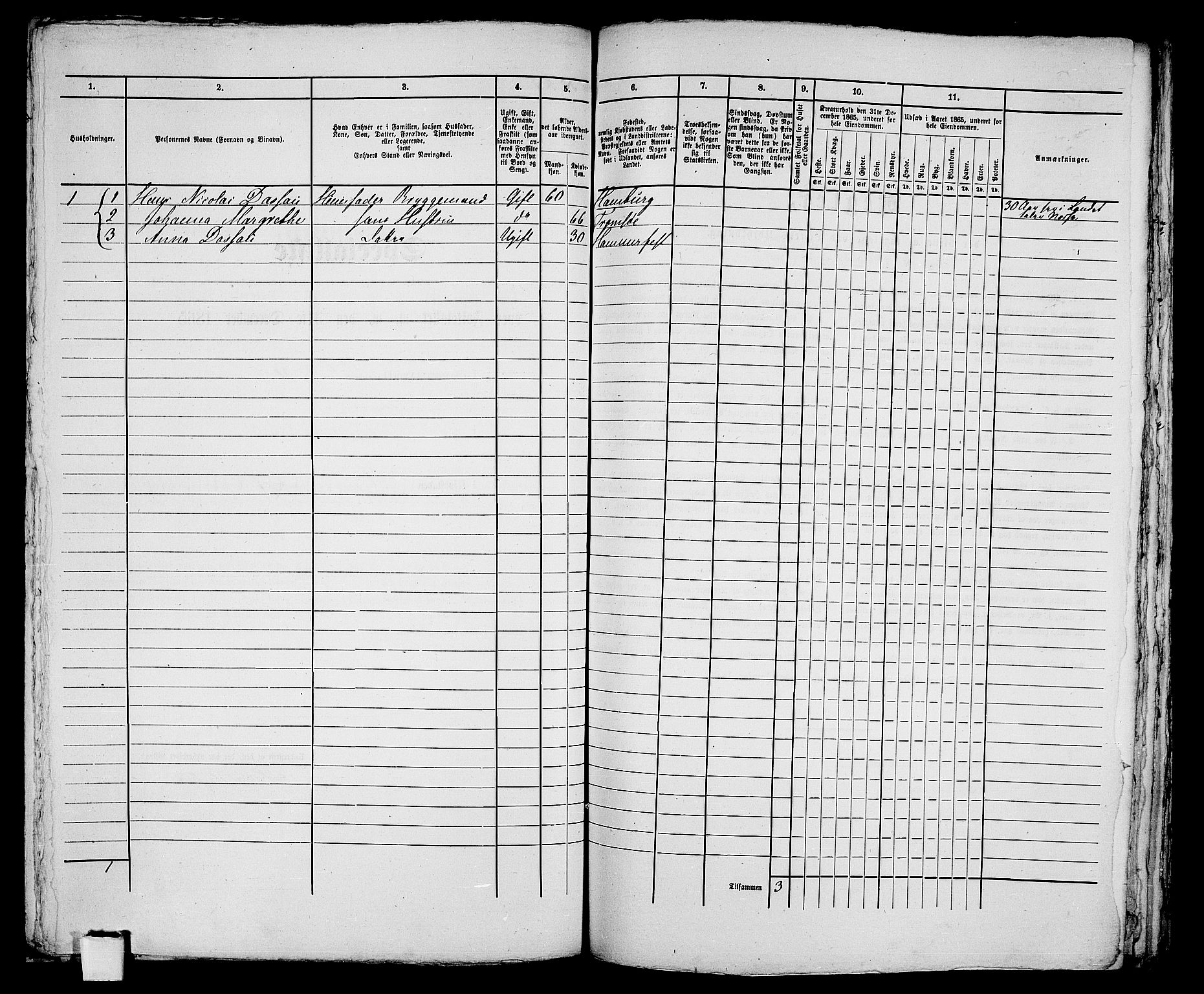 RA, Folketelling 1865 for 2001B Hammerfest prestegjeld, Hammerfest kjøpstad, 1865, s. 222