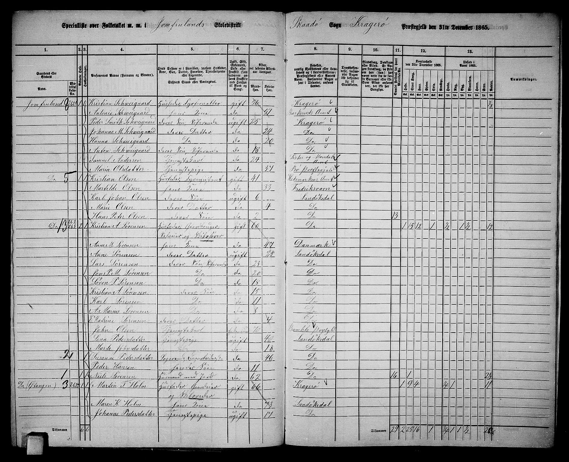 RA, Folketelling 1865 for 0816L Kragerø prestegjeld, Sannidal sokn og Skåtøy sokn, 1865, s. 213