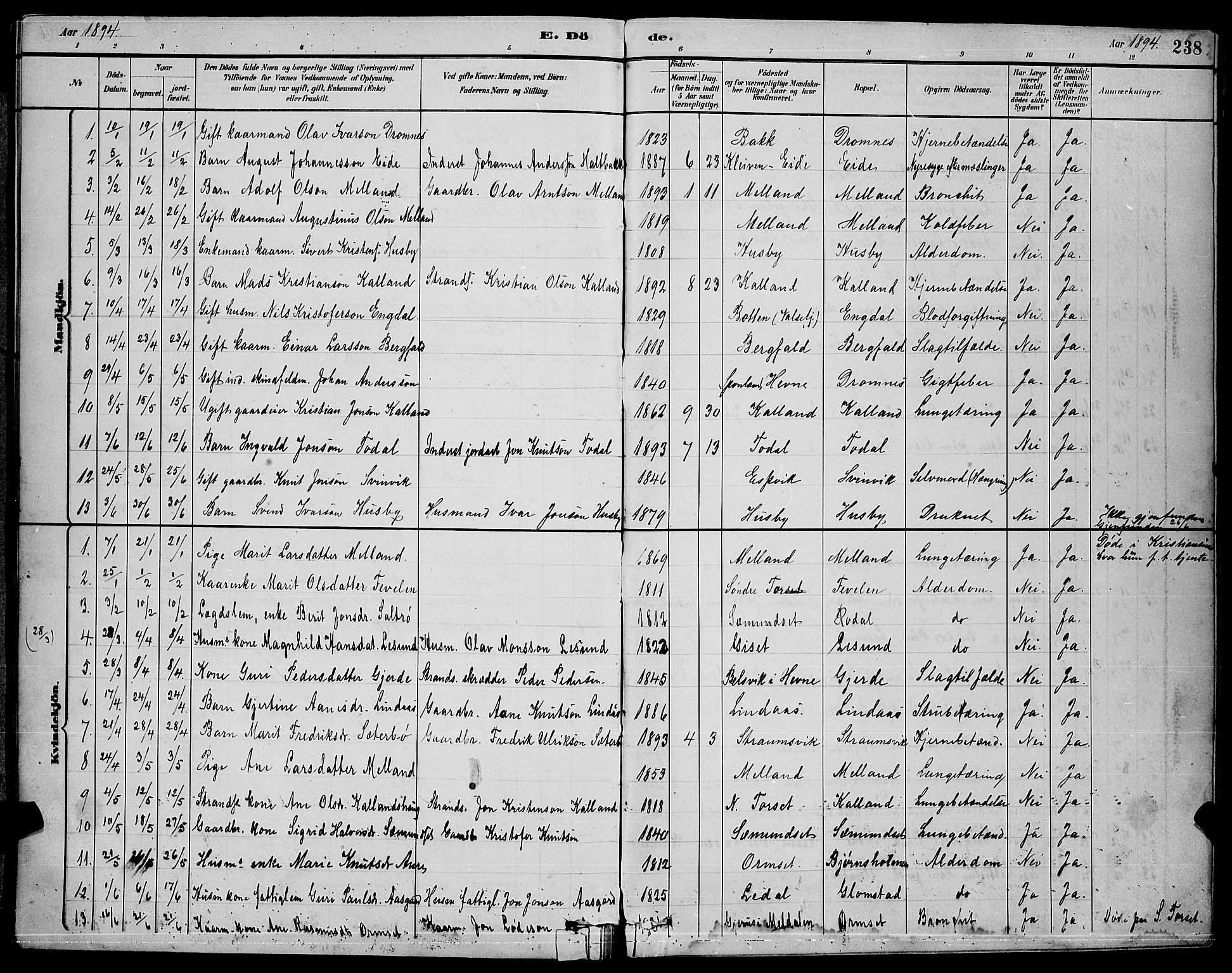 Ministerialprotokoller, klokkerbøker og fødselsregistre - Møre og Romsdal, AV/SAT-A-1454/578/L0909: Klokkerbok nr. 578C02, 1882-1900, s. 238