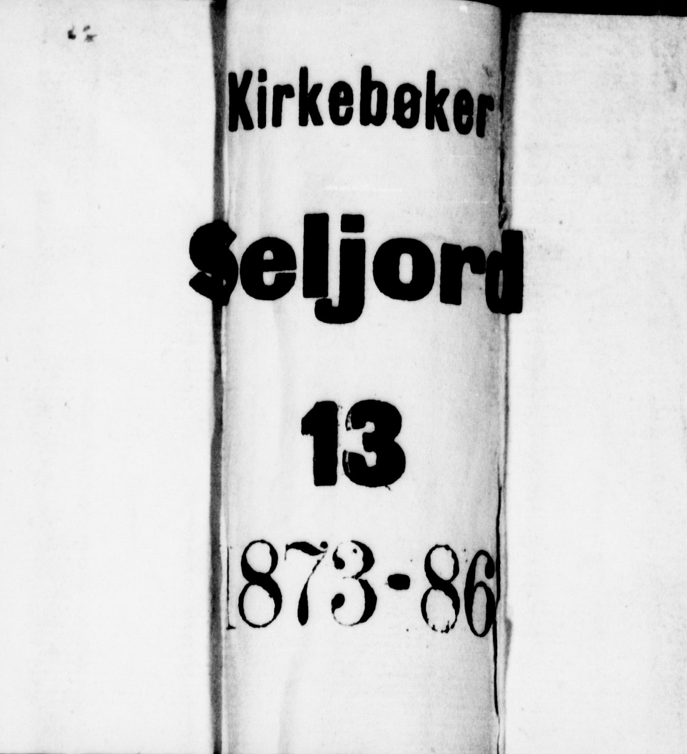 Seljord kirkebøker, SAKO/A-20/G/Ga/L0004: Klokkerbok nr. I 4, 1873-1886