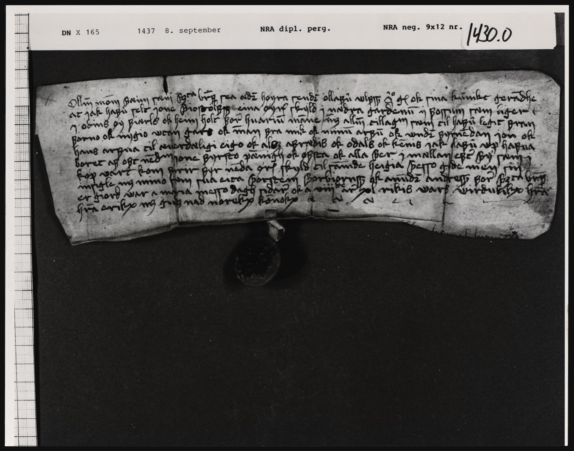 Riksarkivets diplomsamling, AV/RA-EA-5965/F01, 1333-1571, s. 3601