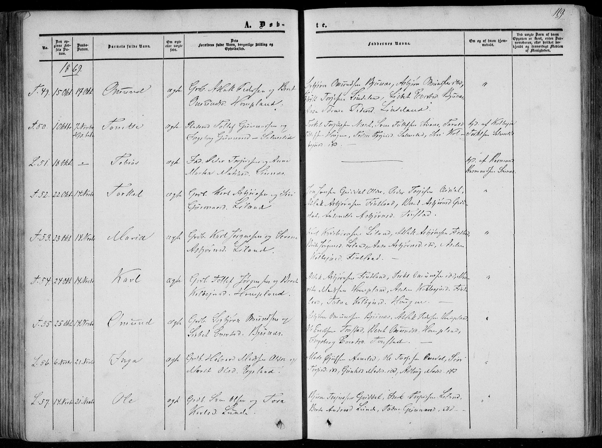 Sirdal sokneprestkontor, SAK/1111-0036/F/Fa/Fab/L0002: Ministerialbok nr. A 2, 1855-1874, s. 119